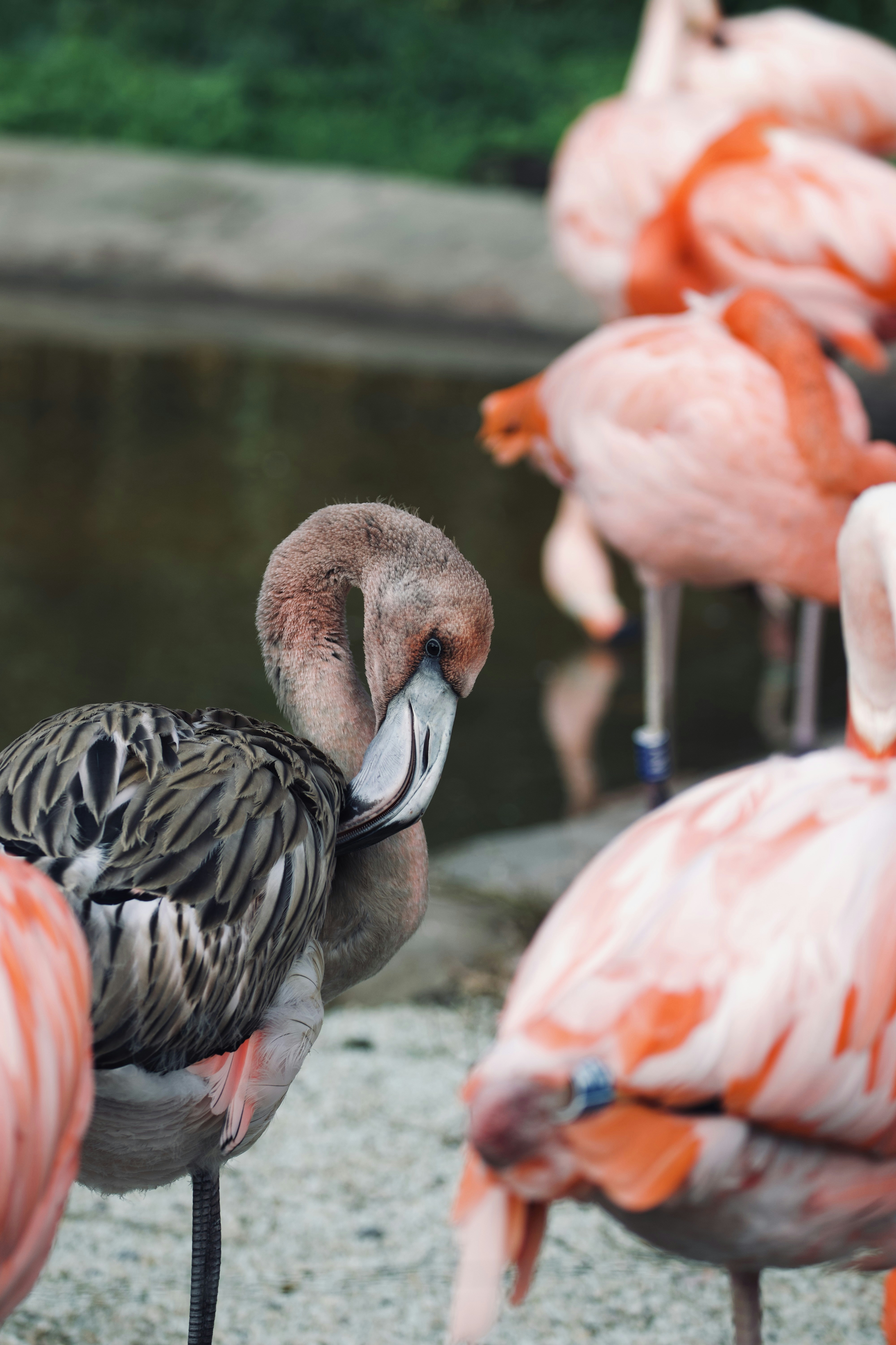 Photo by jakub_neskora