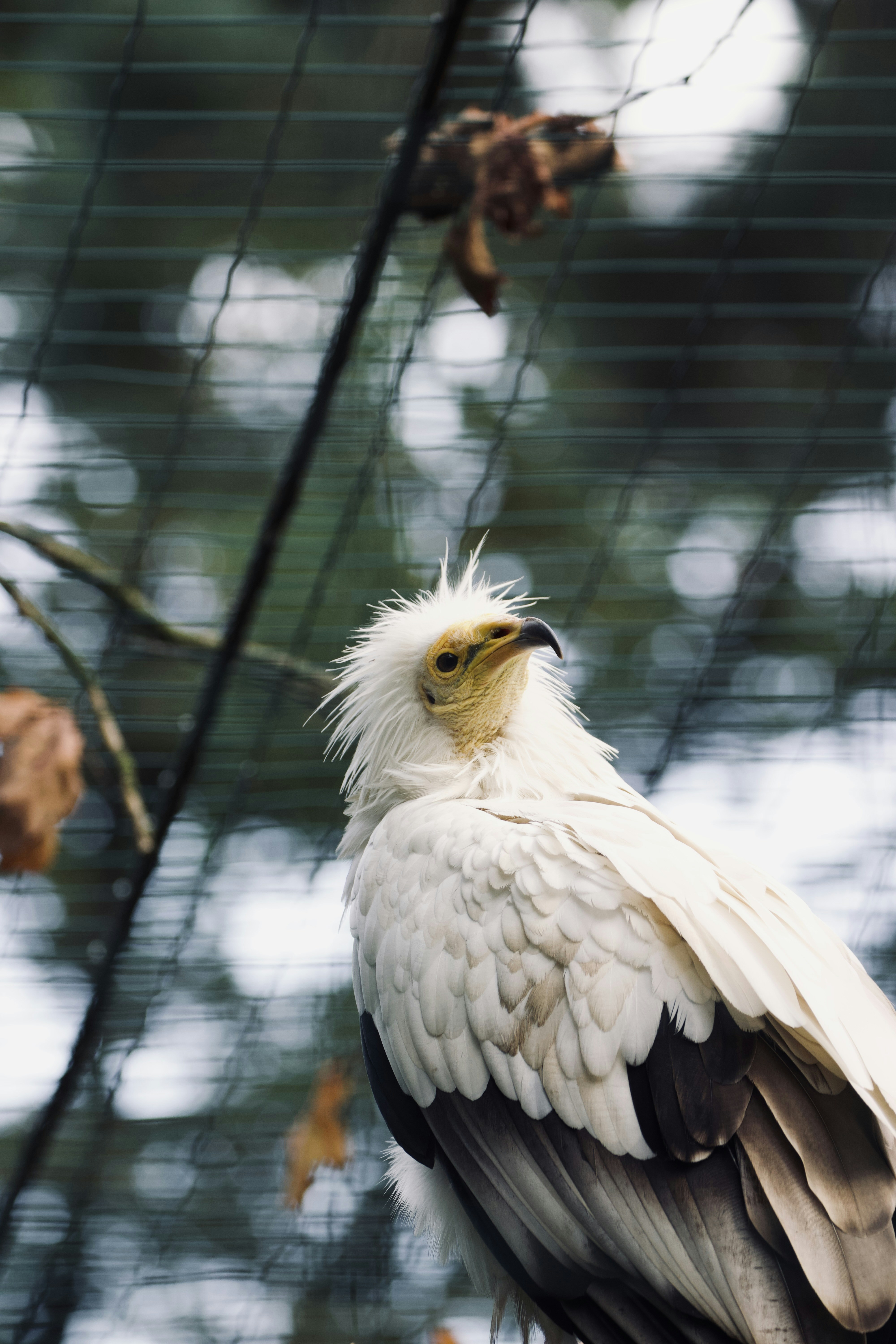 Photo by jakub_neskora