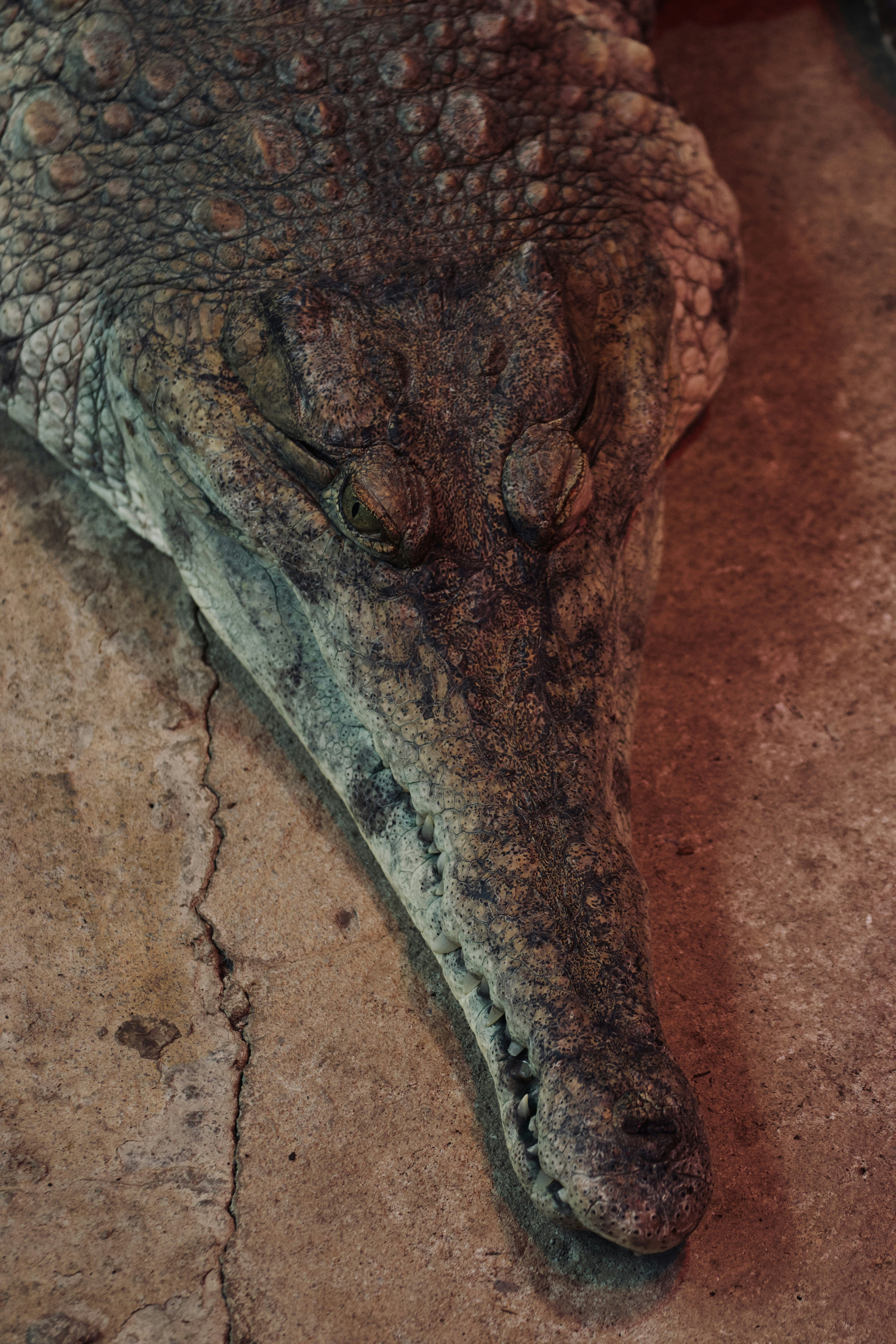 Photo by jakub_neskora