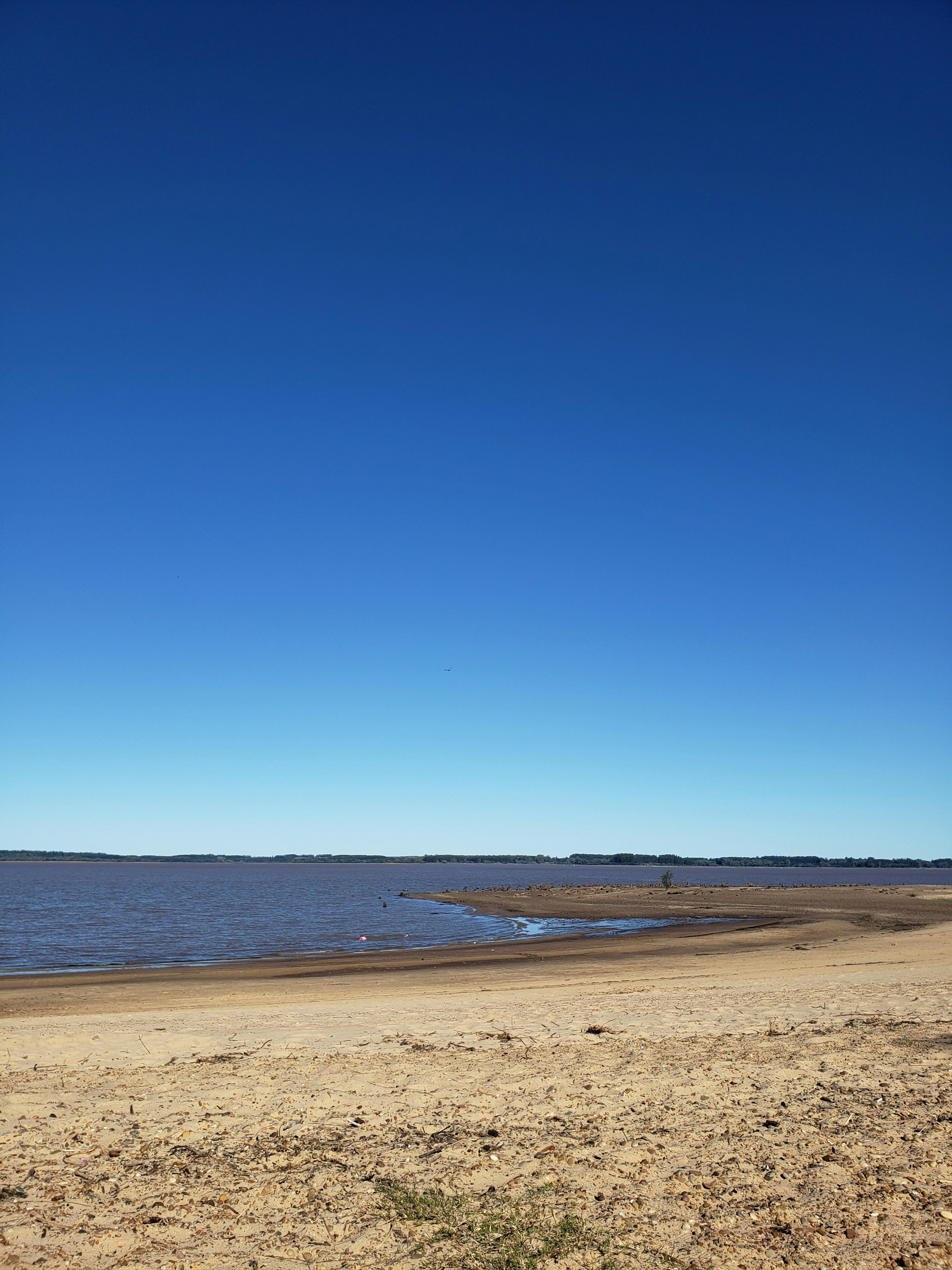 Photo by brianreynoso