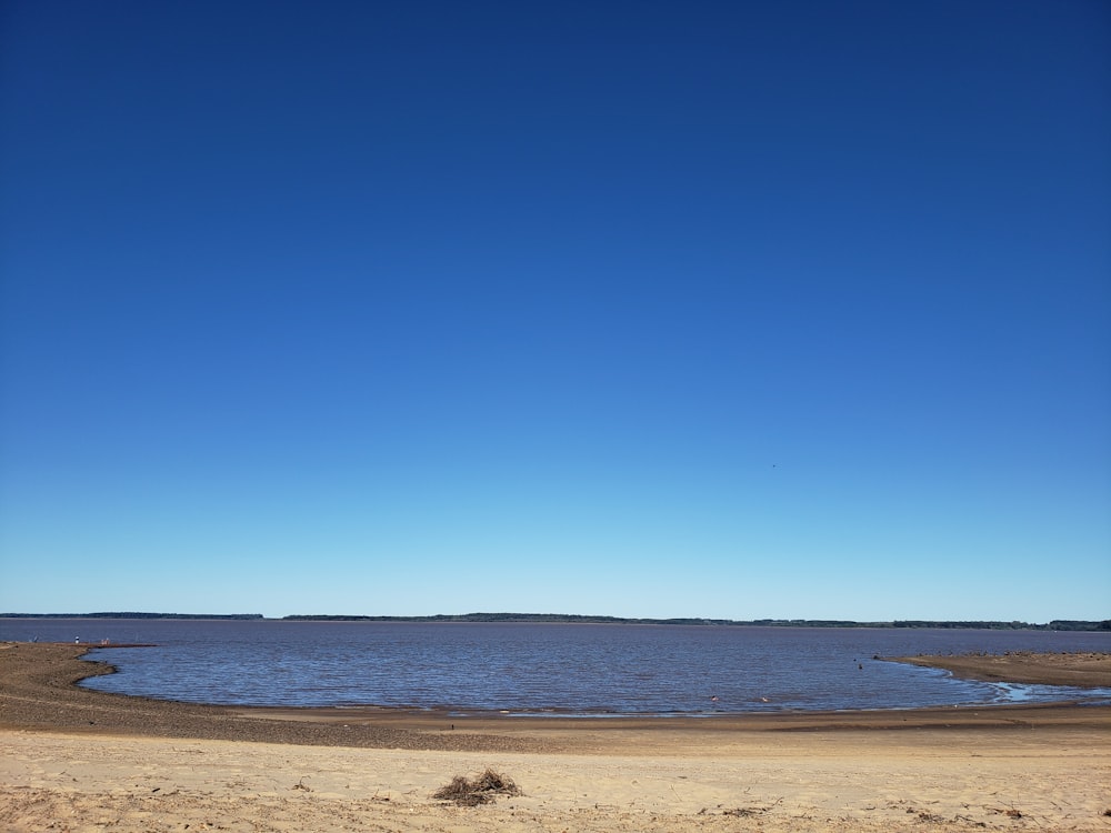 un grand plan d’eau assis à côté d’une plage de sable