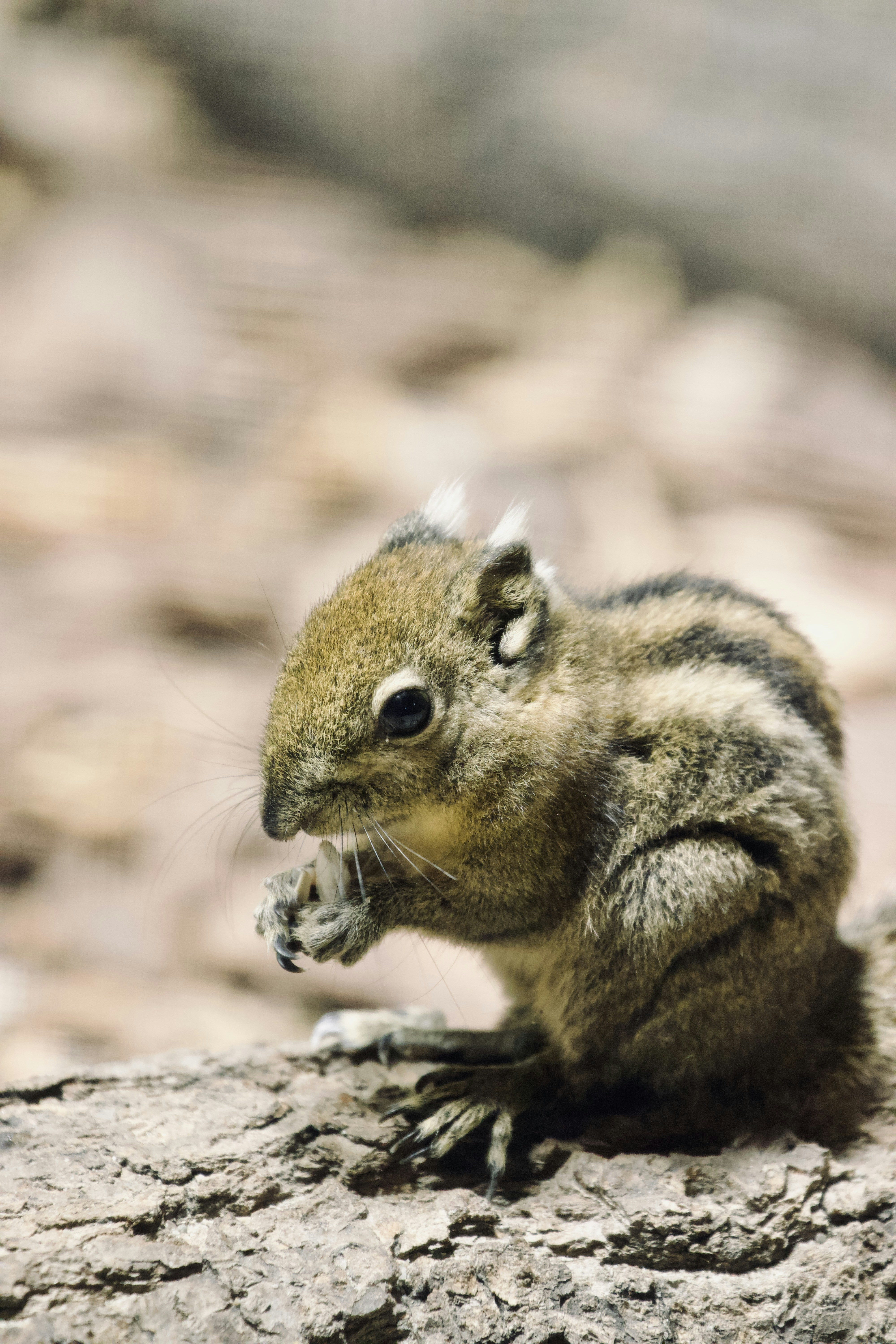 Photo by jakub_neskora