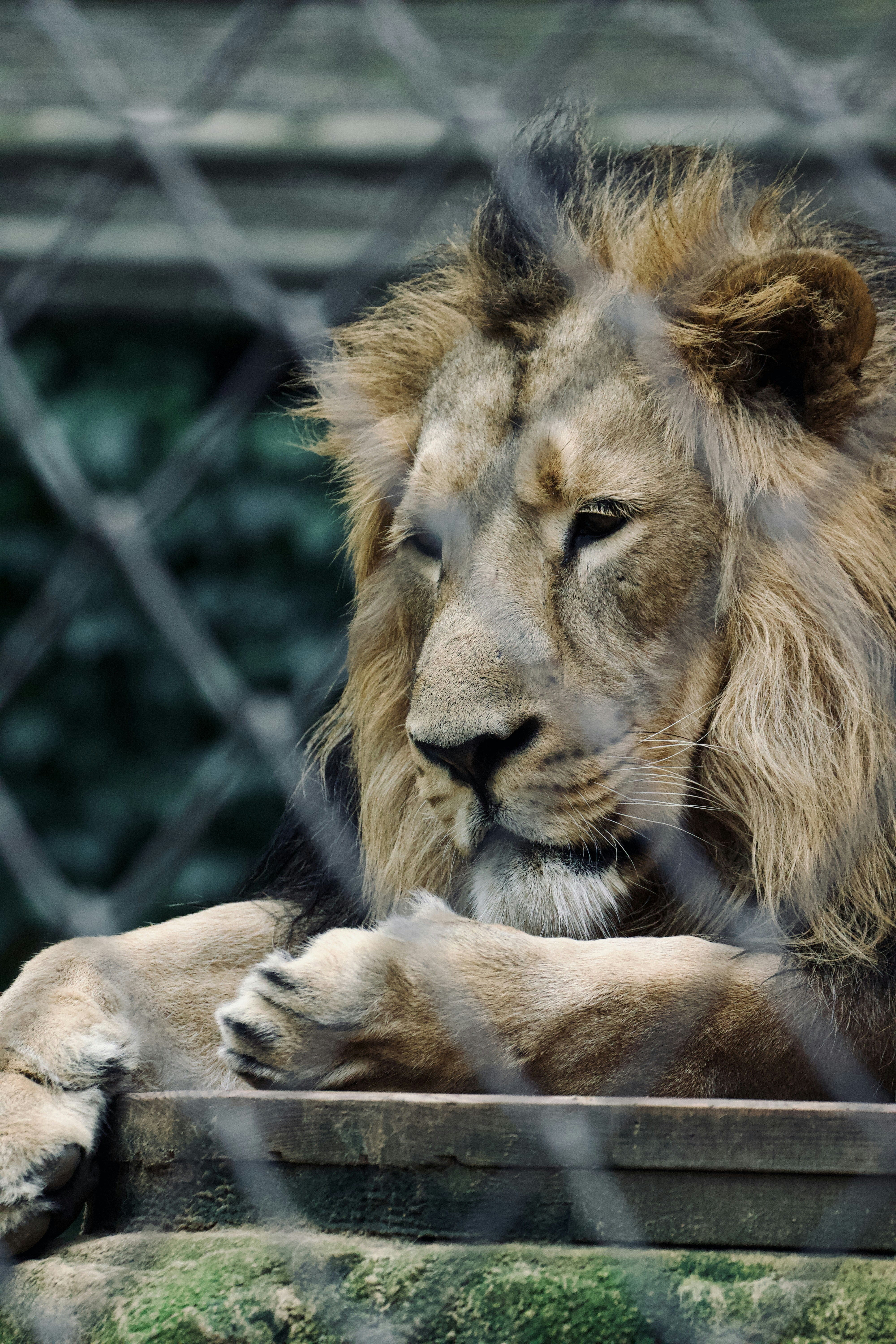 Photo by jakub_neskora