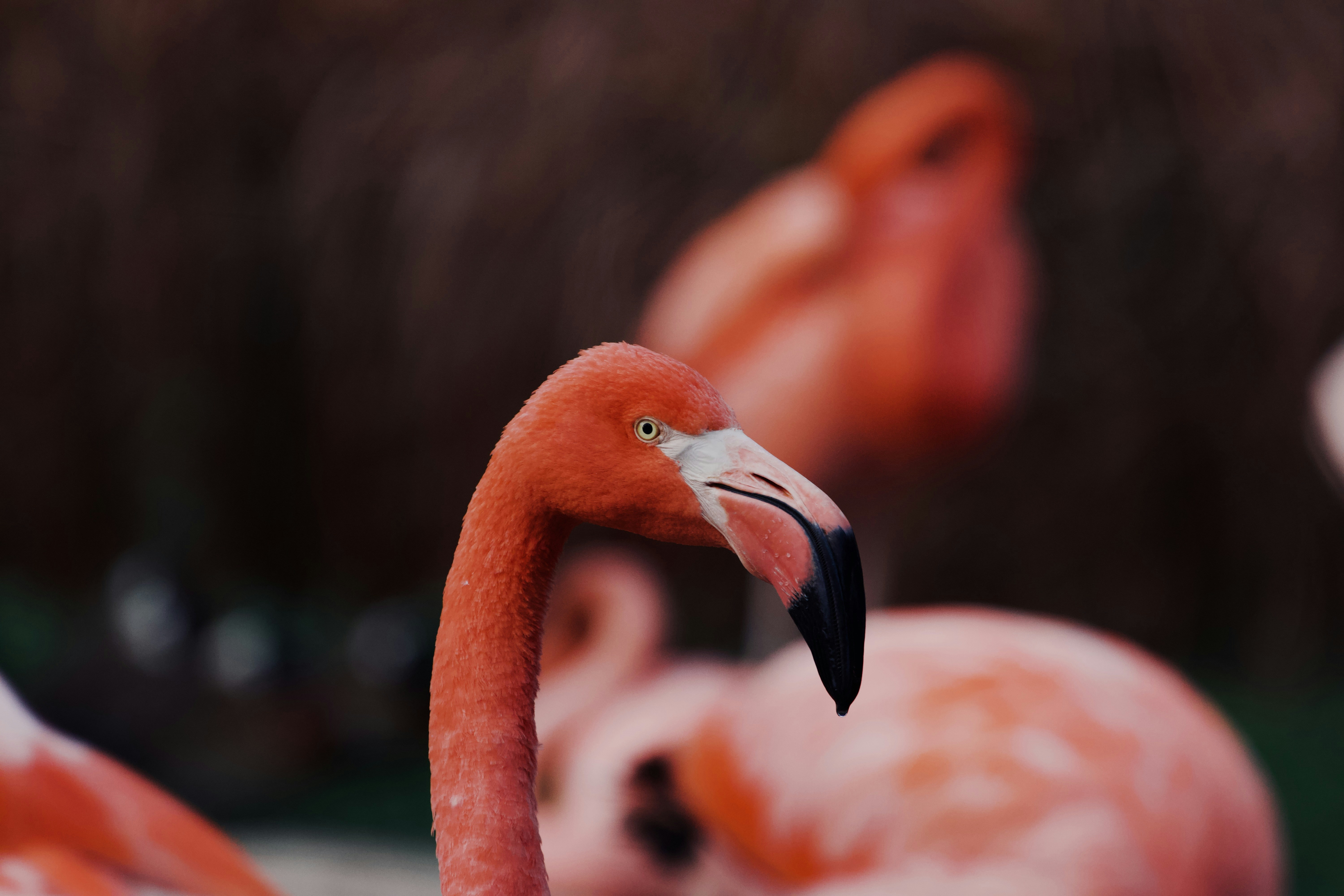 Photo by jakub_neskora