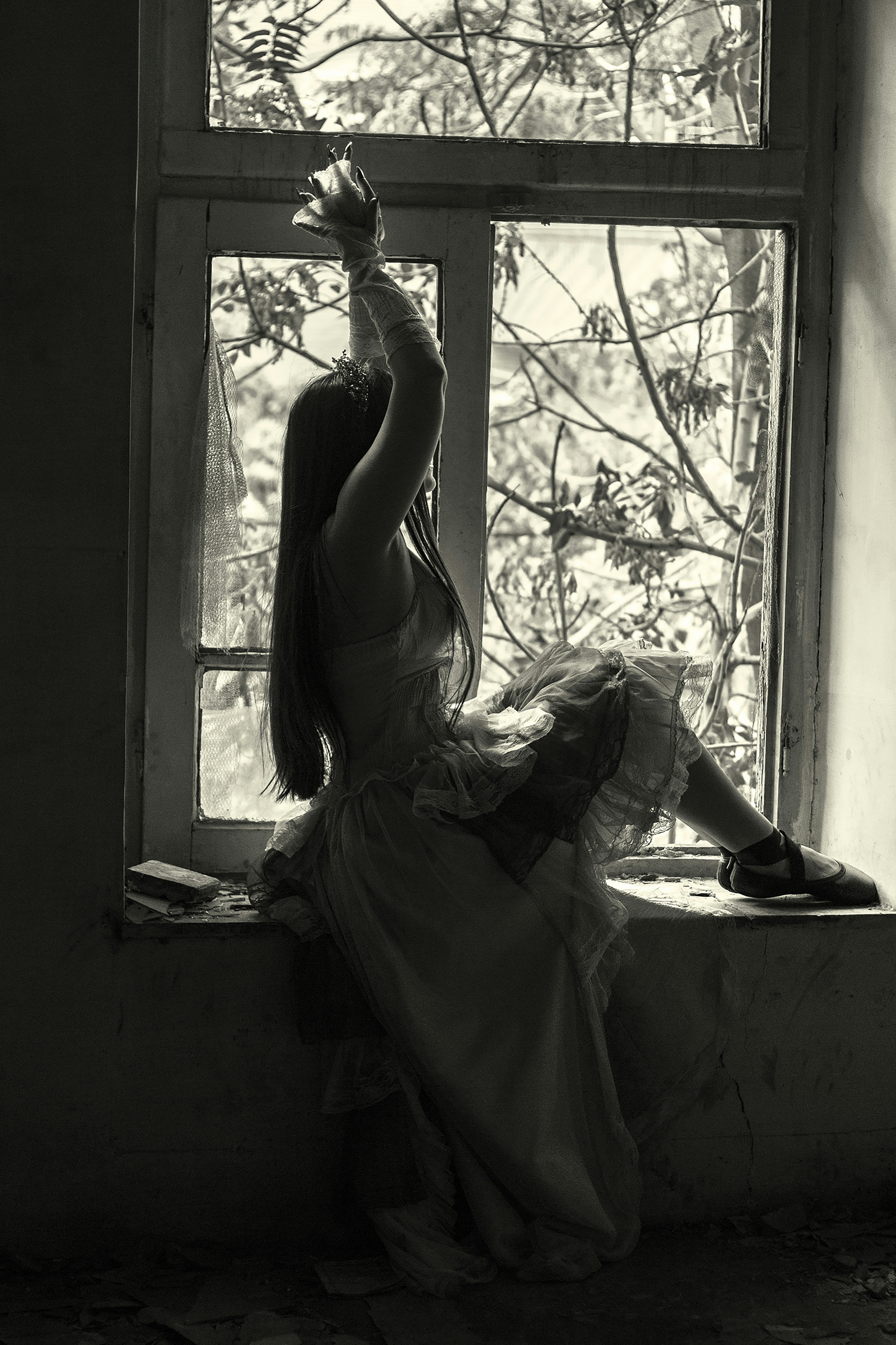 Photo by baranlotfollahi