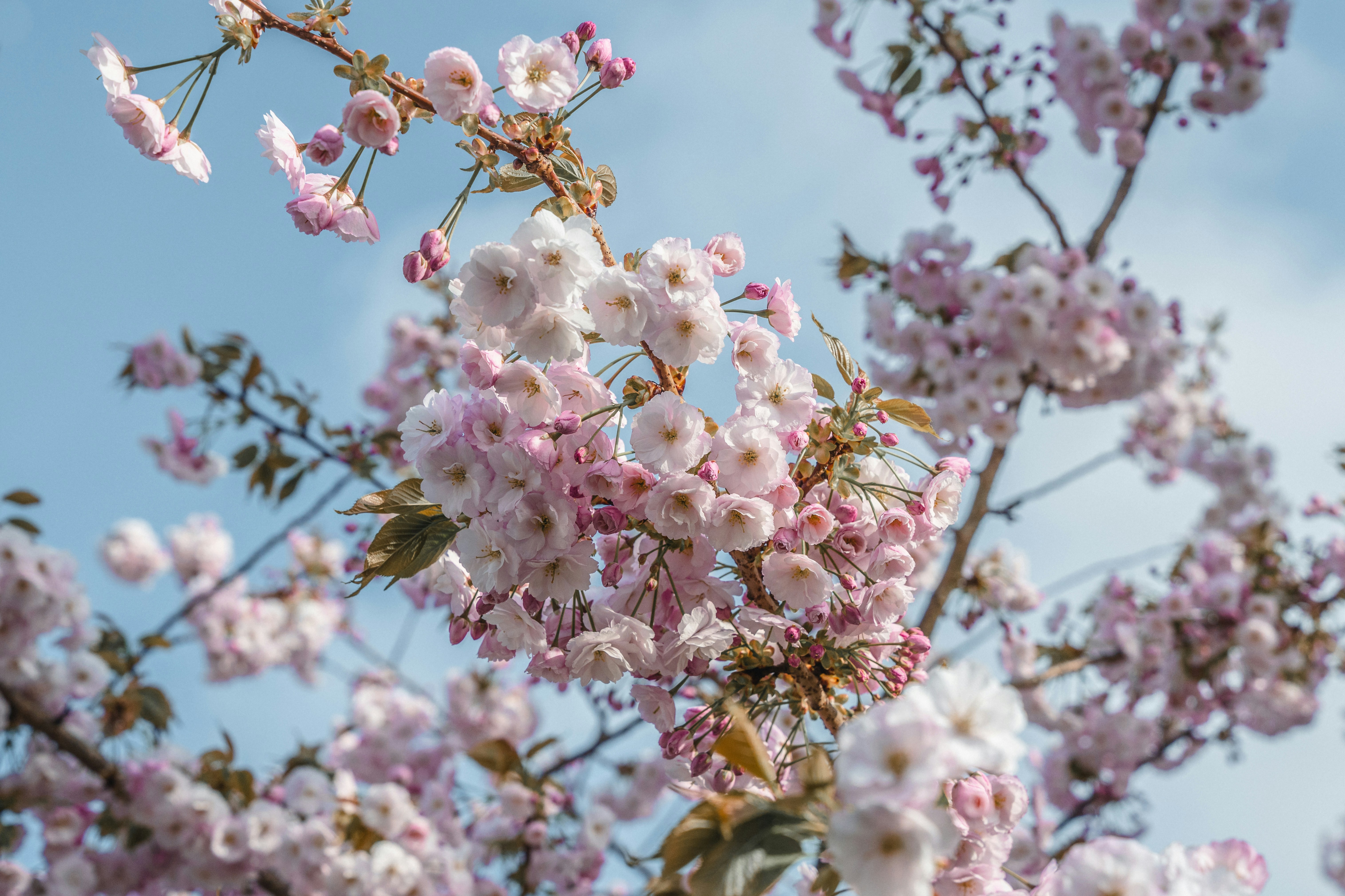 Photo by winstontjia