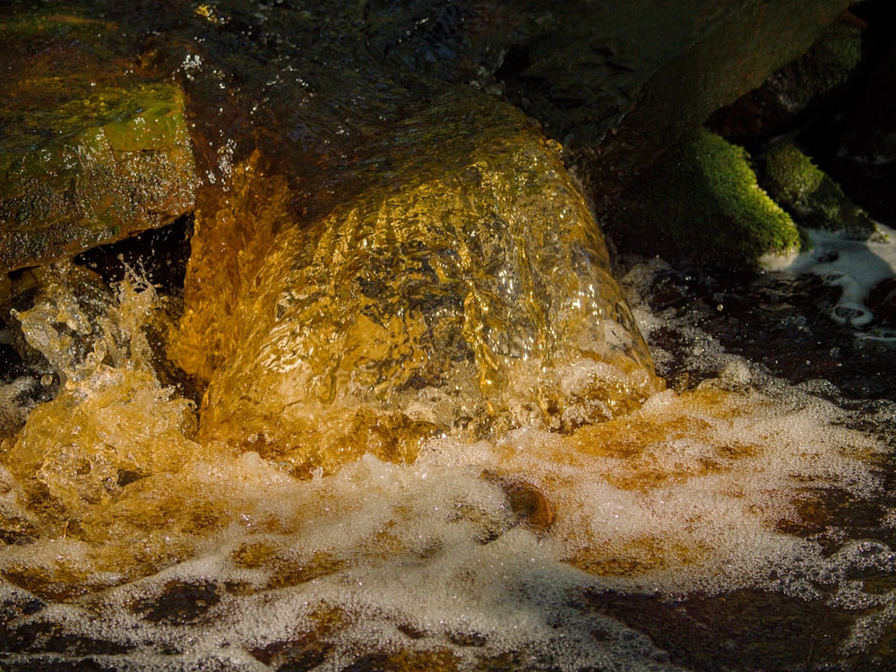 a close up of a yellow substance in a body of water