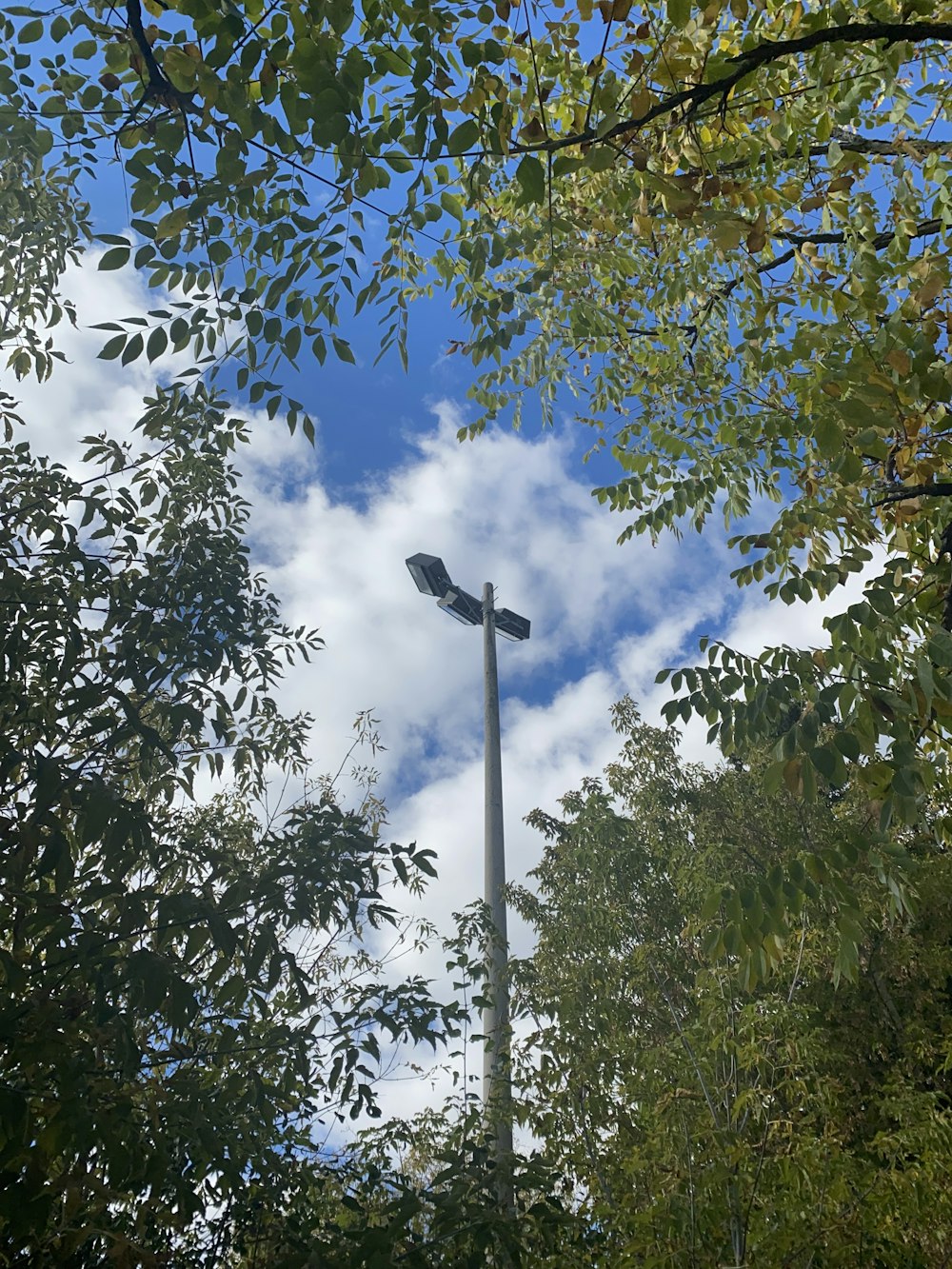 a street light surrounded by trees and clouds