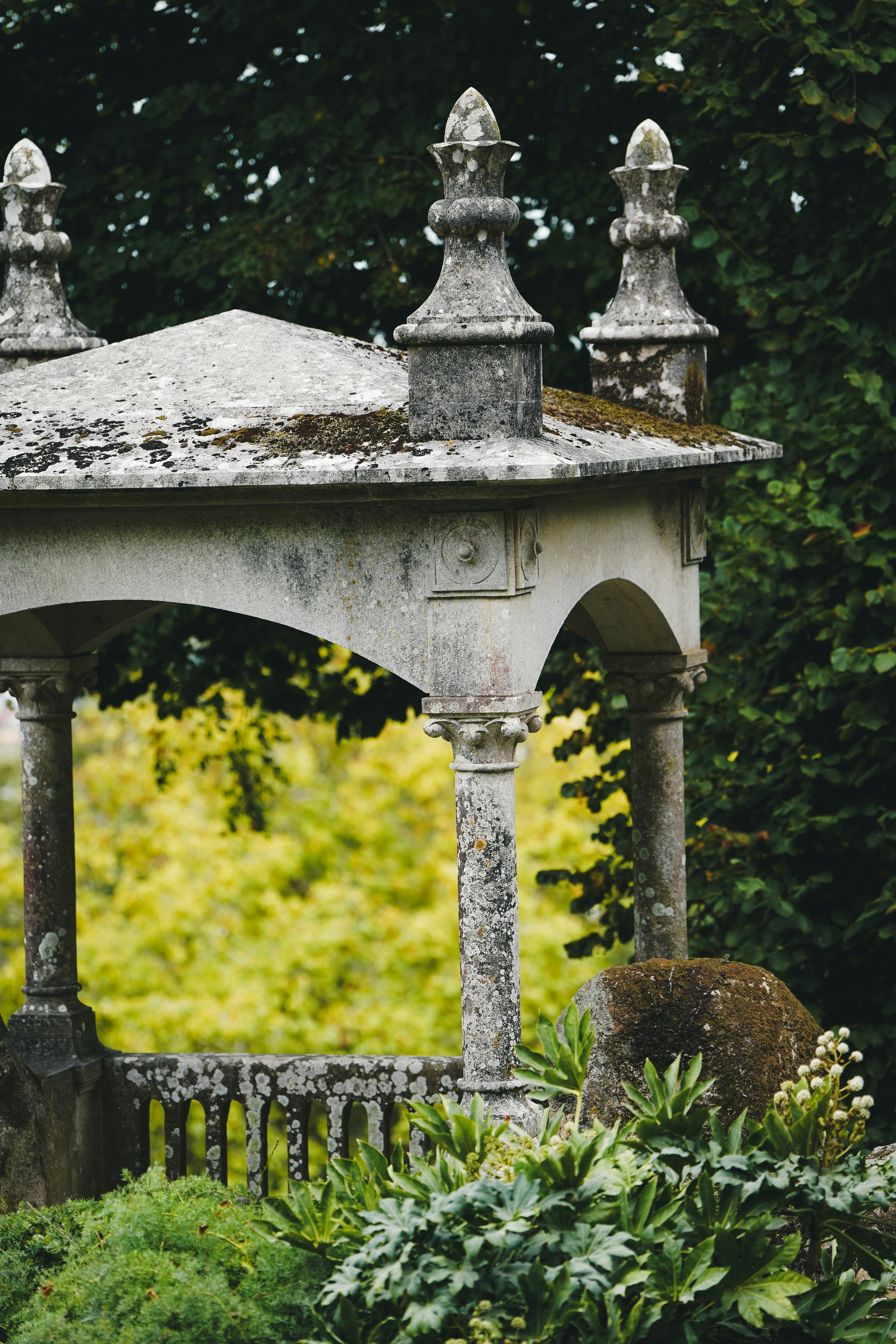 Photo by kevin_charit