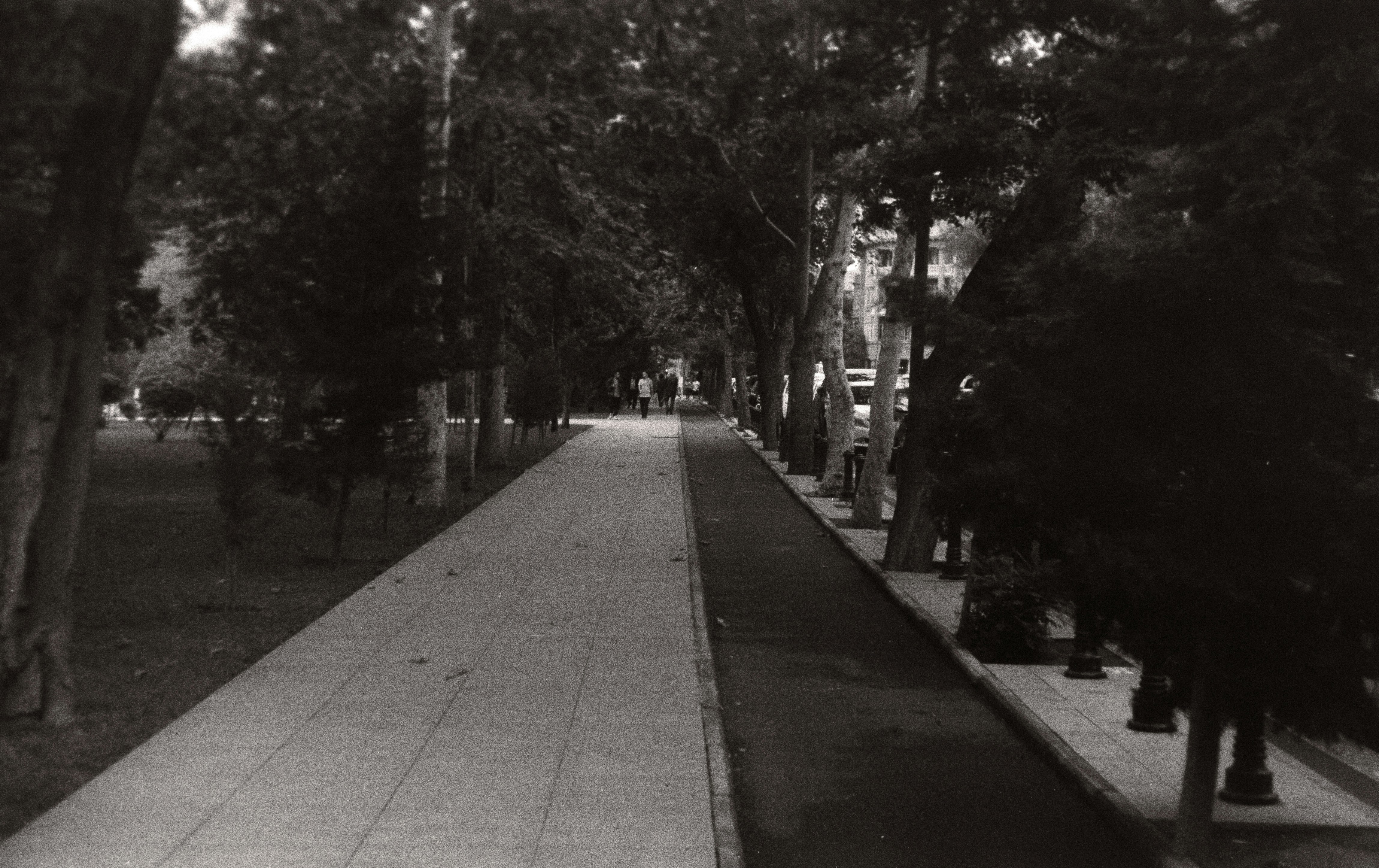 Photo by ragnarbeaverson