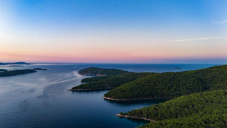 an aerial view of a body of water surrounded by trees