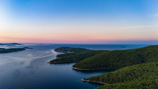 an aerial view of a body of water surrounded by trees