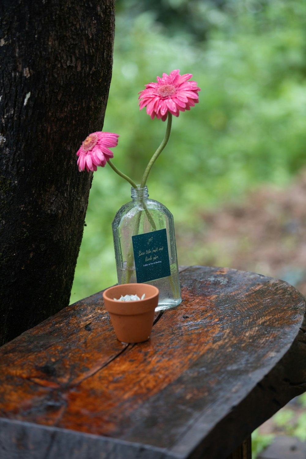 a flower in a vase sitting on a table next to a tree