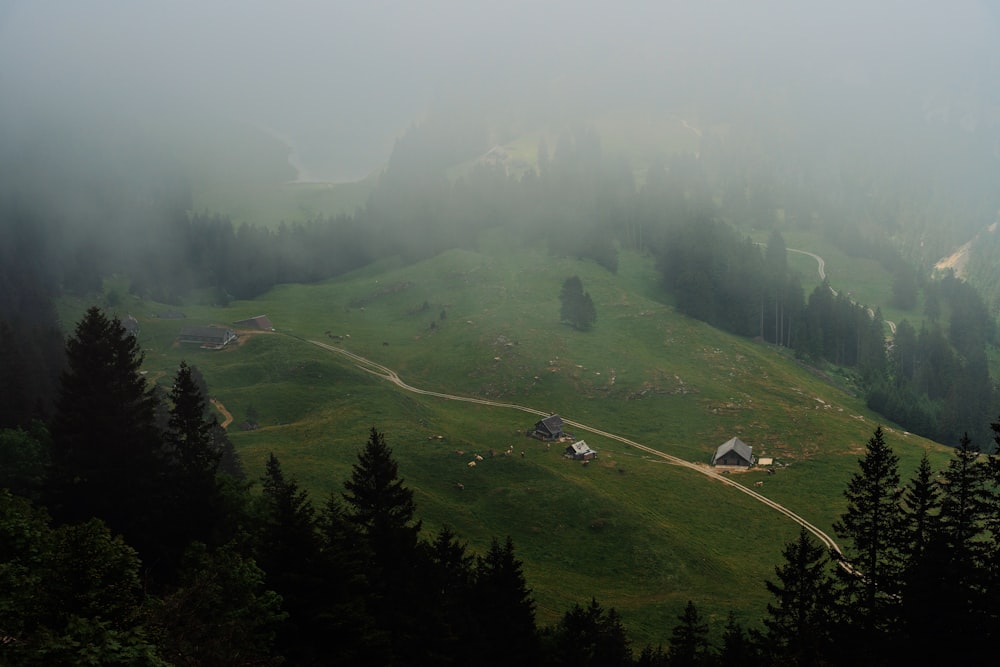 a foggy hillside with a small house on it
