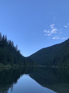 Emerald Lake’s calm surface mirroring dense evergreen forests under a clear sky.