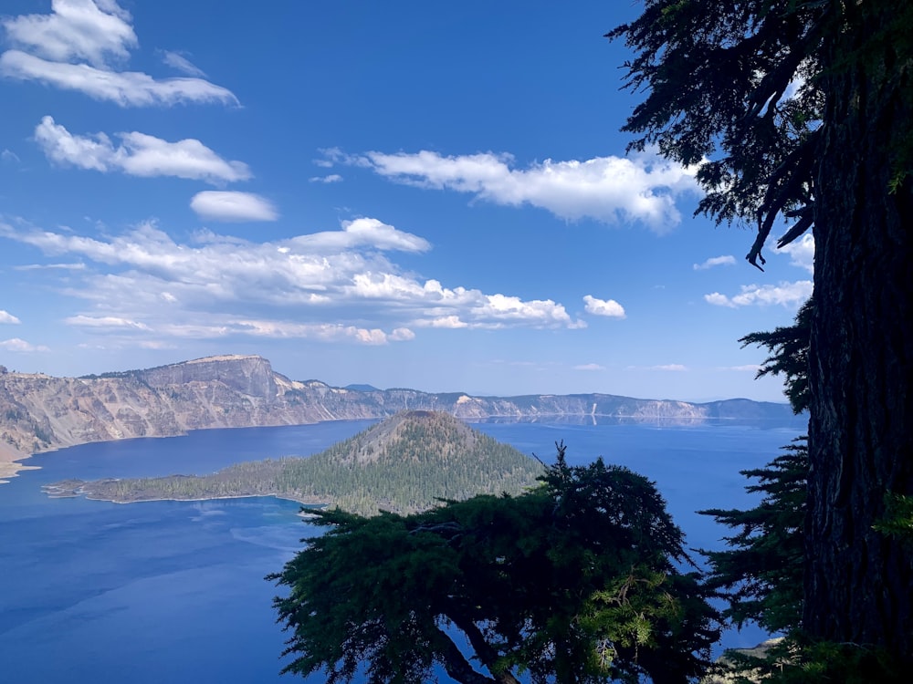 a large body of water surrounded by trees