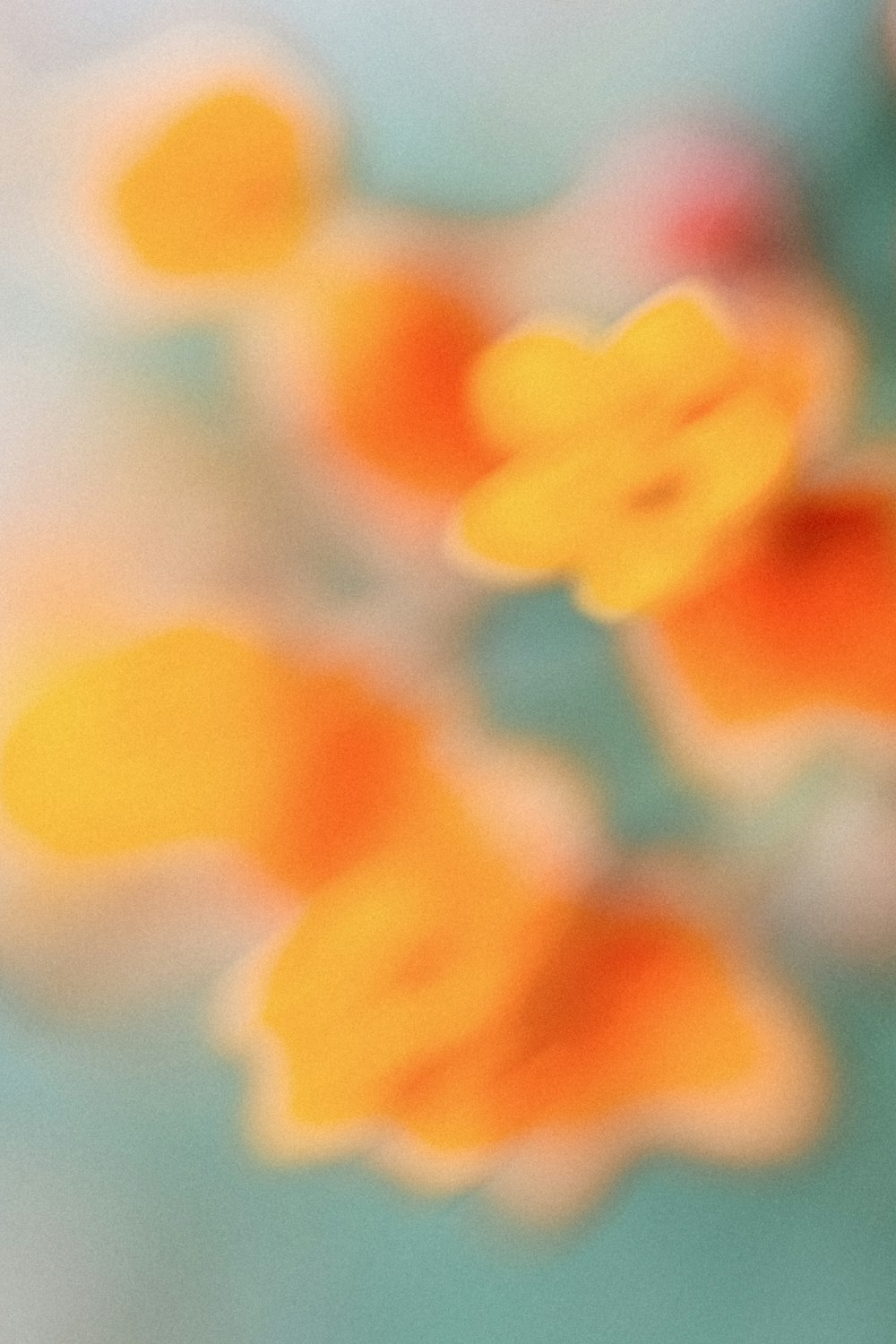 a blurry photo of orange and yellow flowers