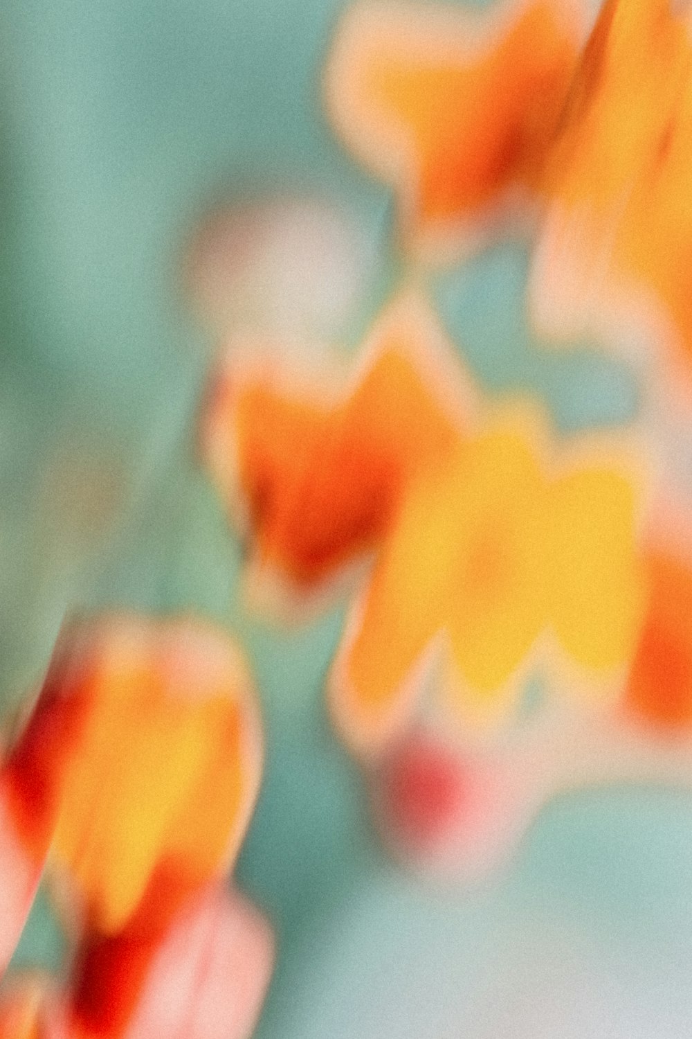 a blurry photo of orange flowers in a vase