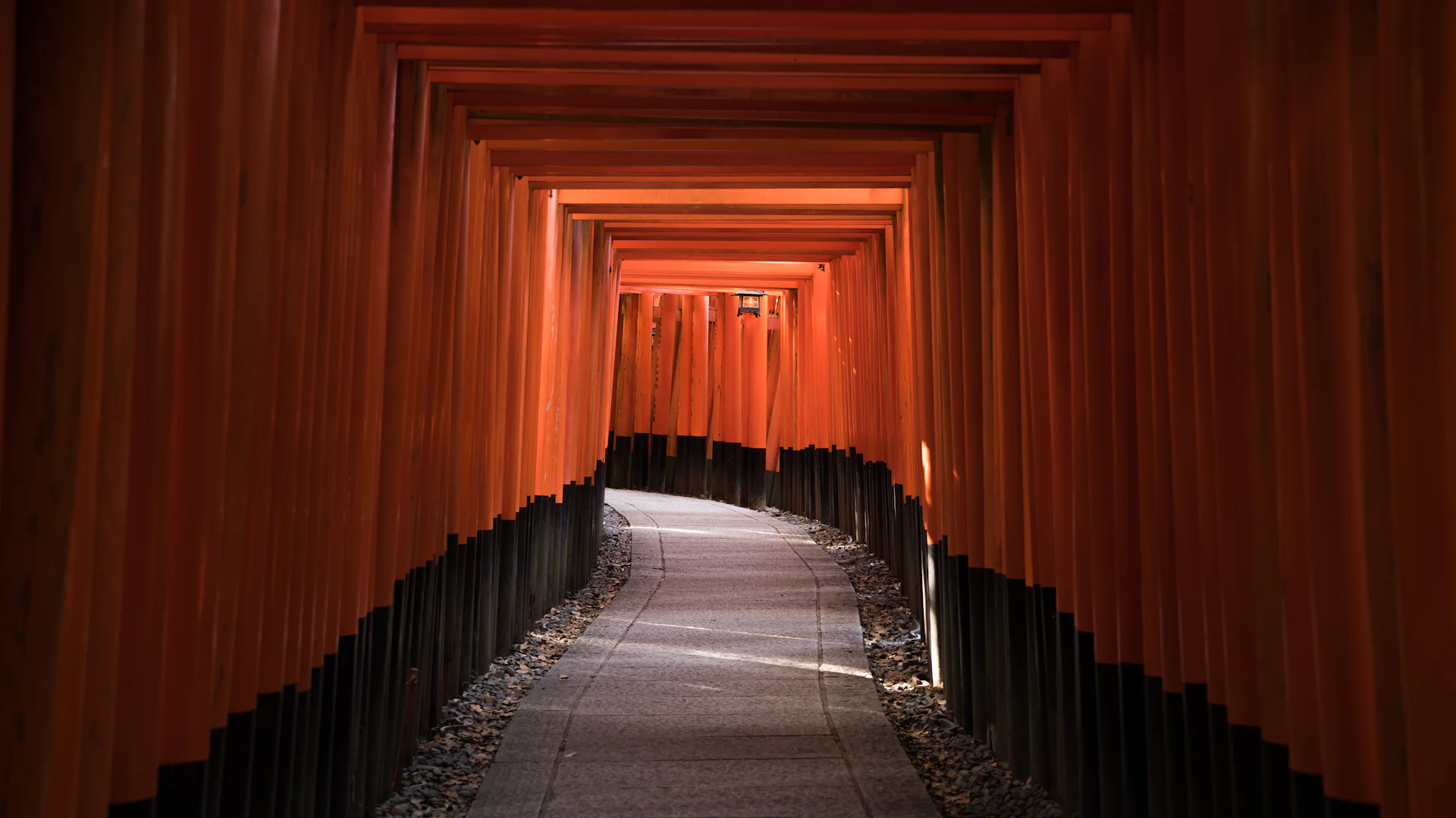 Empty tunnel of vermilion torii gates at Fushimi Inari