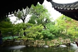 A peaceful garden scene at a traditional Chinese temple, symbolizing wellness.