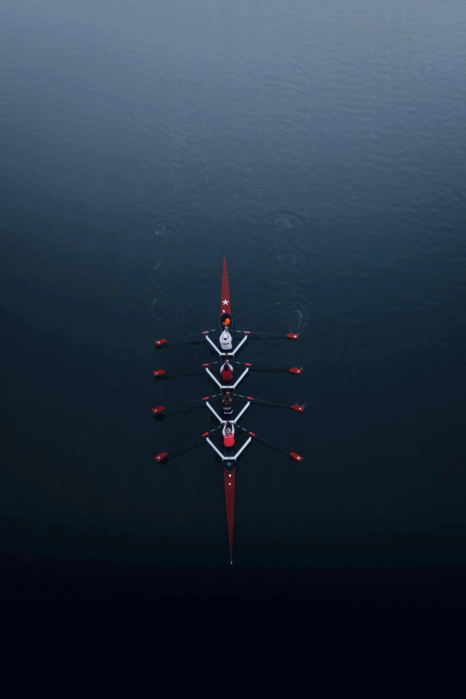 boats at the dock