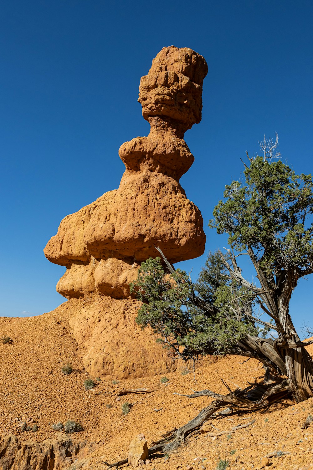 a rock formation in the desert with a tree in the foreground