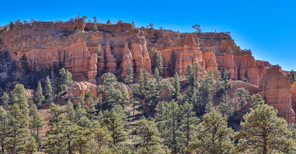 a mountain with trees and a blue sky in the background