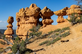A stunning landscape featuring unique rock formations with intricate textures and shapes, set against a clear blue sky. Sparse vegetation is visible, and the rocky terrain is bathed in sunlight, highlighting the warm earthy tones of the formations.