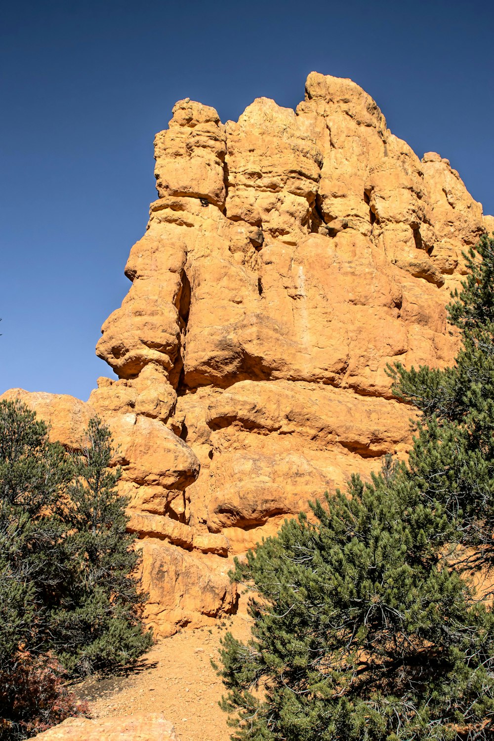 a large rock formation in the middle of a forest