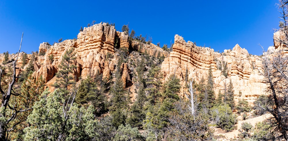 a rocky mountain with trees and a blue sky in the background