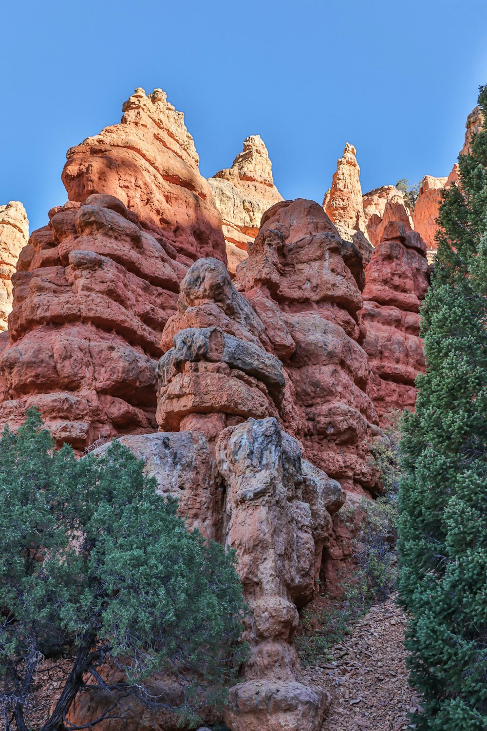 a large rock formation with trees in the foreground