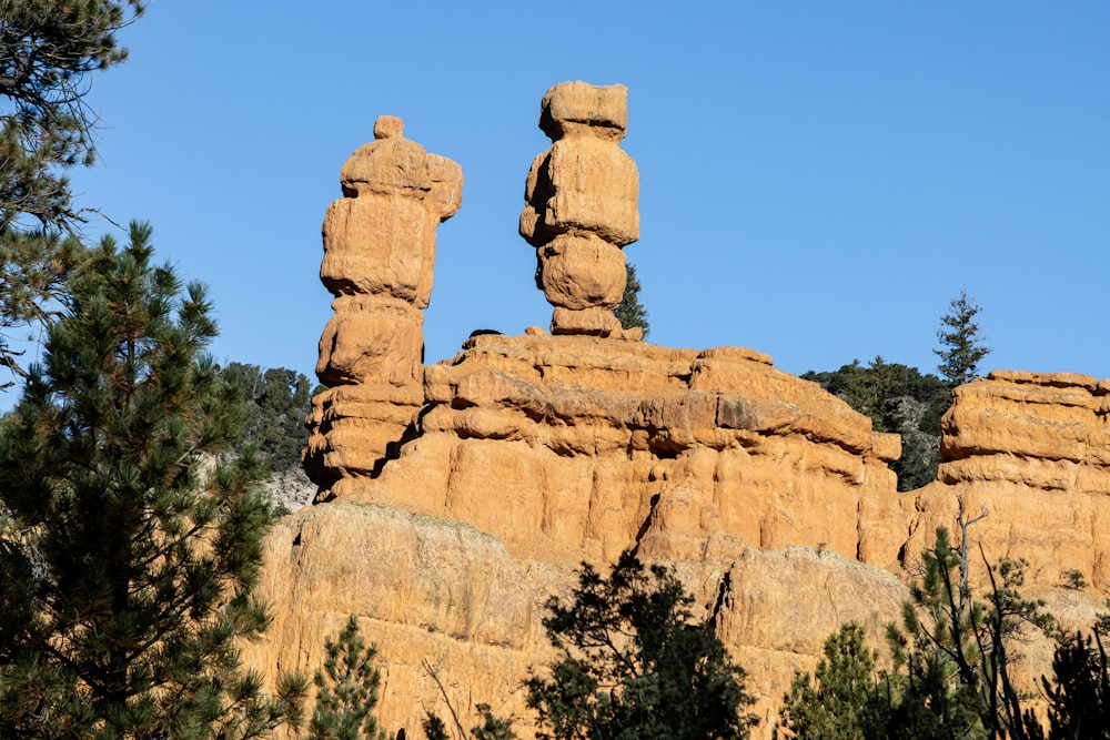 a large rock formation in the middle of a forest