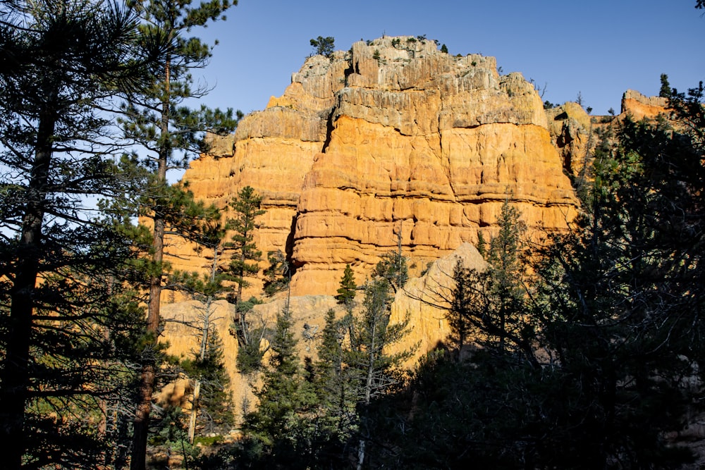 a mountain with trees and rocks in the background