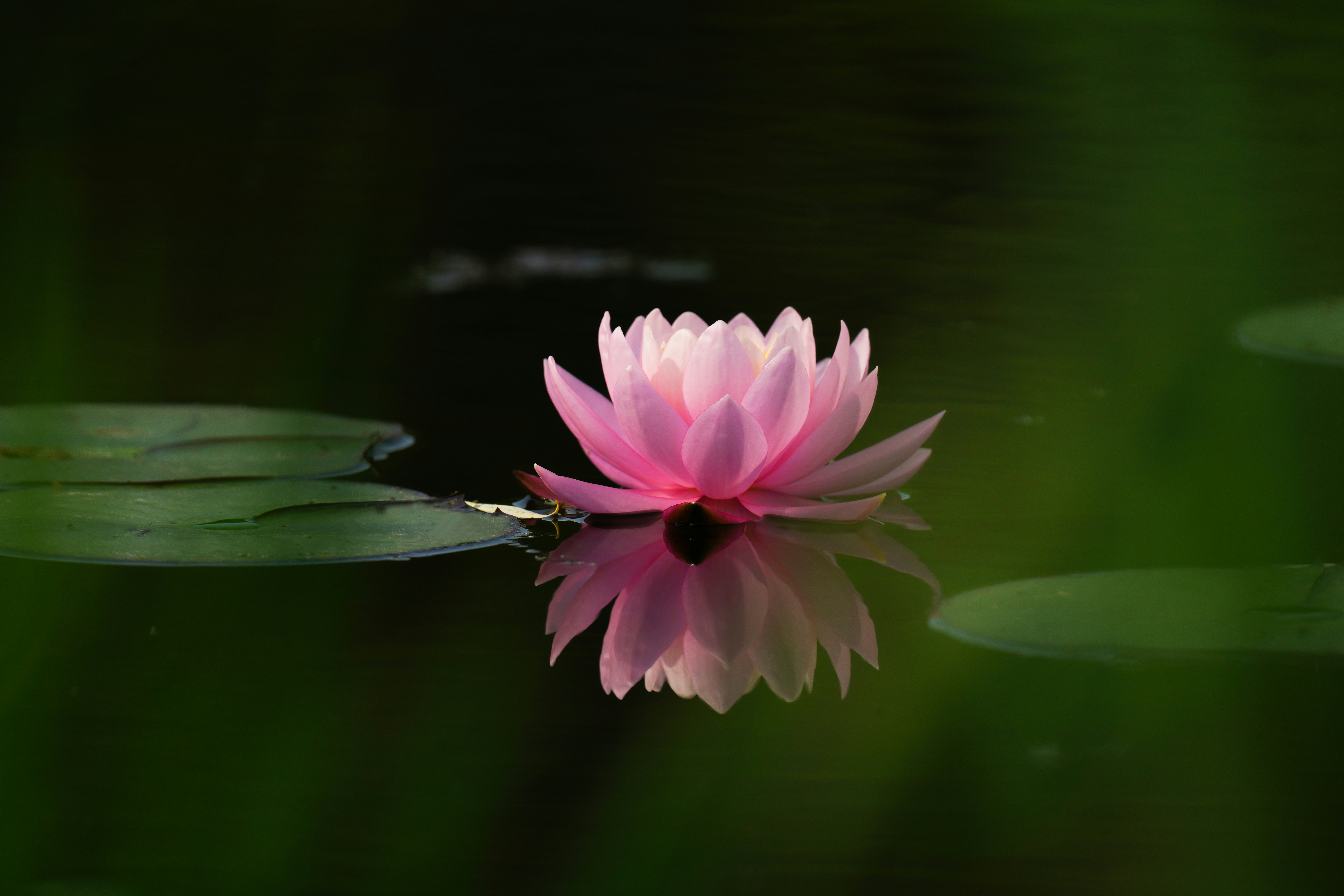 Photo by kim_dae_jeung