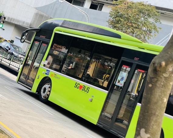 A green bus labeled with 'SG BUS' and 'SBS Transit' is driving on a city street. The bus is modern in design with large windows, and a tree is visible in the foreground. There is a traffic light indicating green and part of a building with glass windows in the background.
