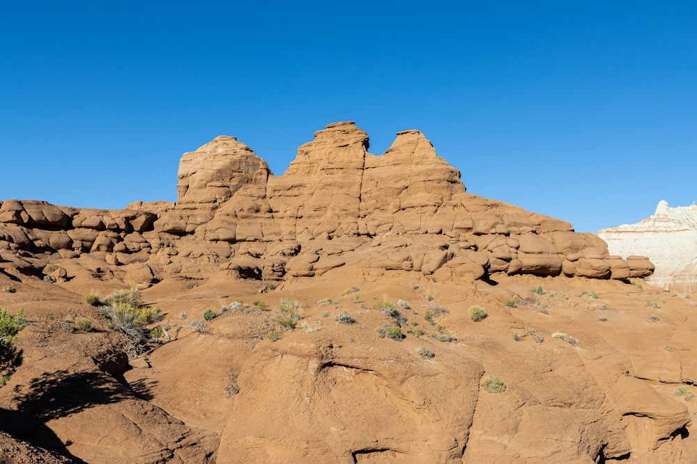 a desert landscape with rocks and plants in the foreground
