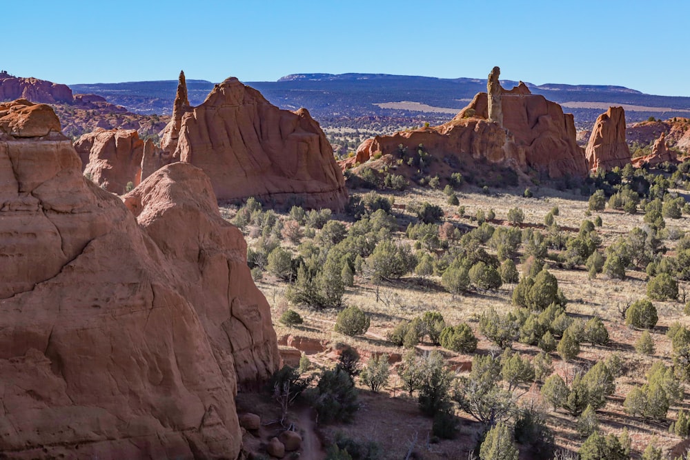 Una vista panorámica de las montañas y los árboles en el desierto