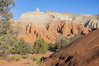 A serene landscape of Zion National Park with sunlit red rock formations under a clear blue sky.