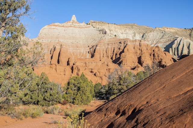 A serene landscape of Zion National Park with sunlit red rock formations under a clear blue sky.