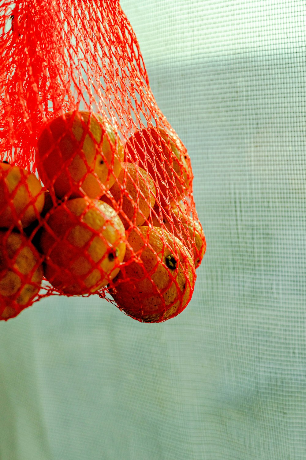 a red net bag filled with oranges on top of a window sill