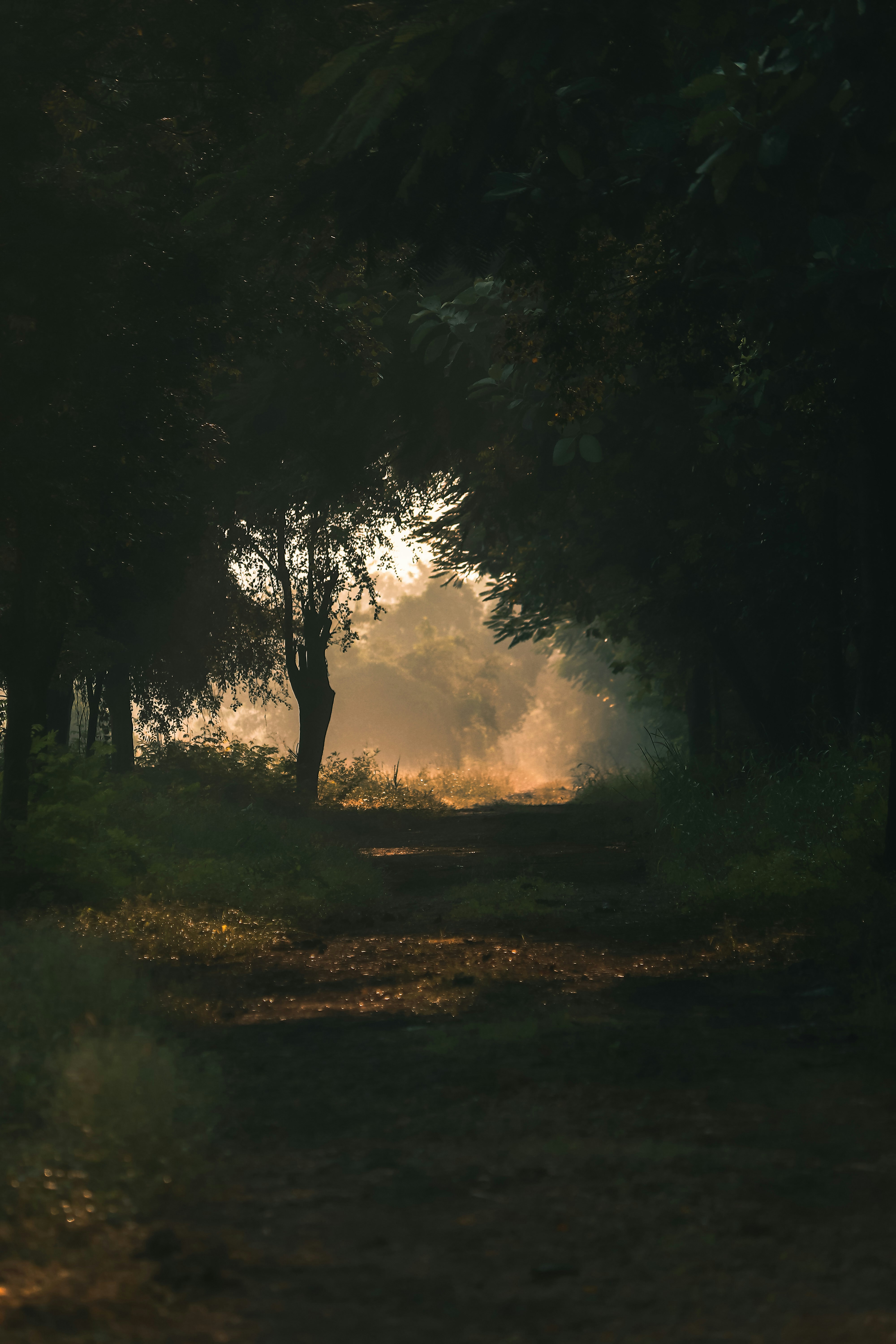 Photo by harshit_suryawanshi