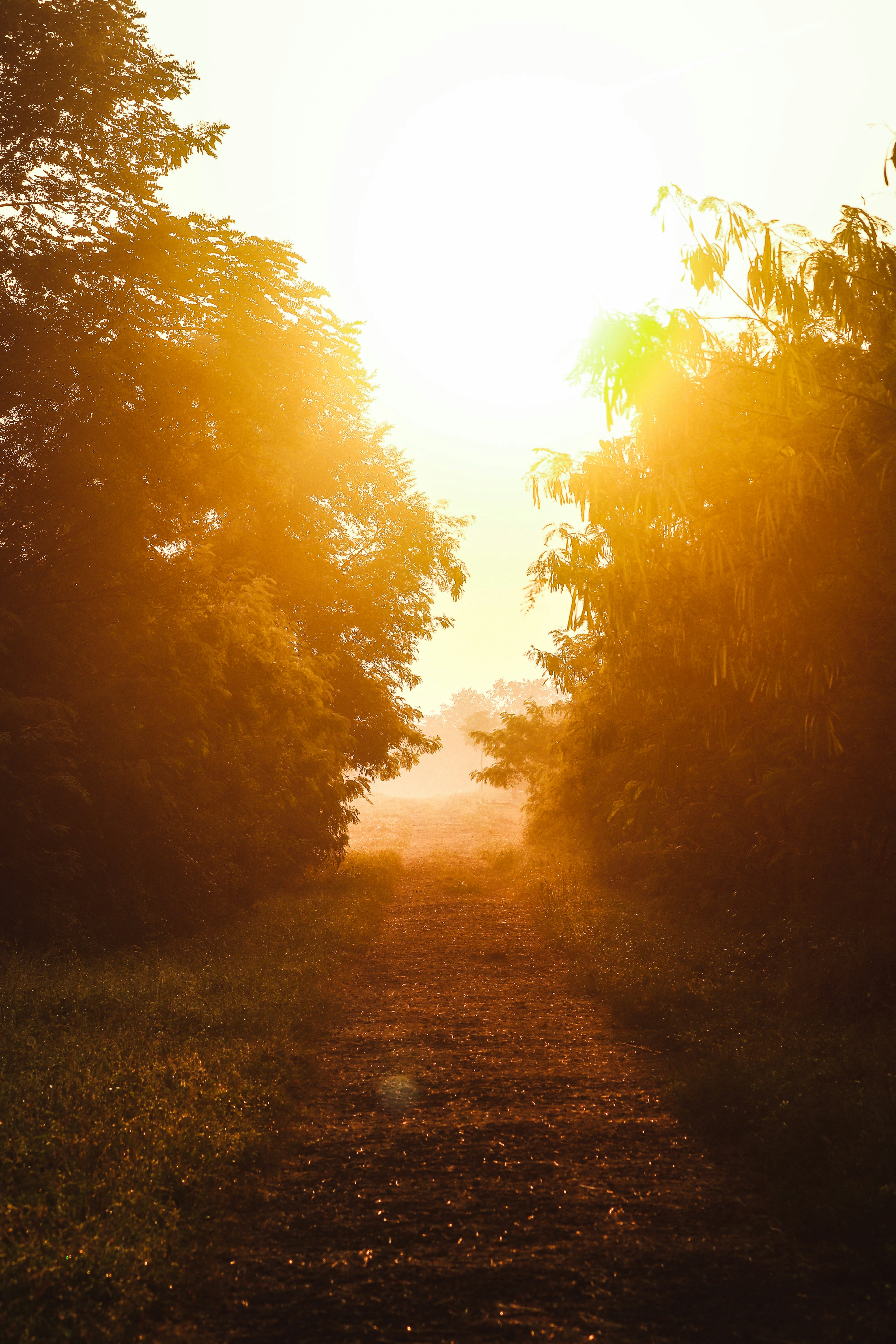 Photo by harshit_suryawanshi