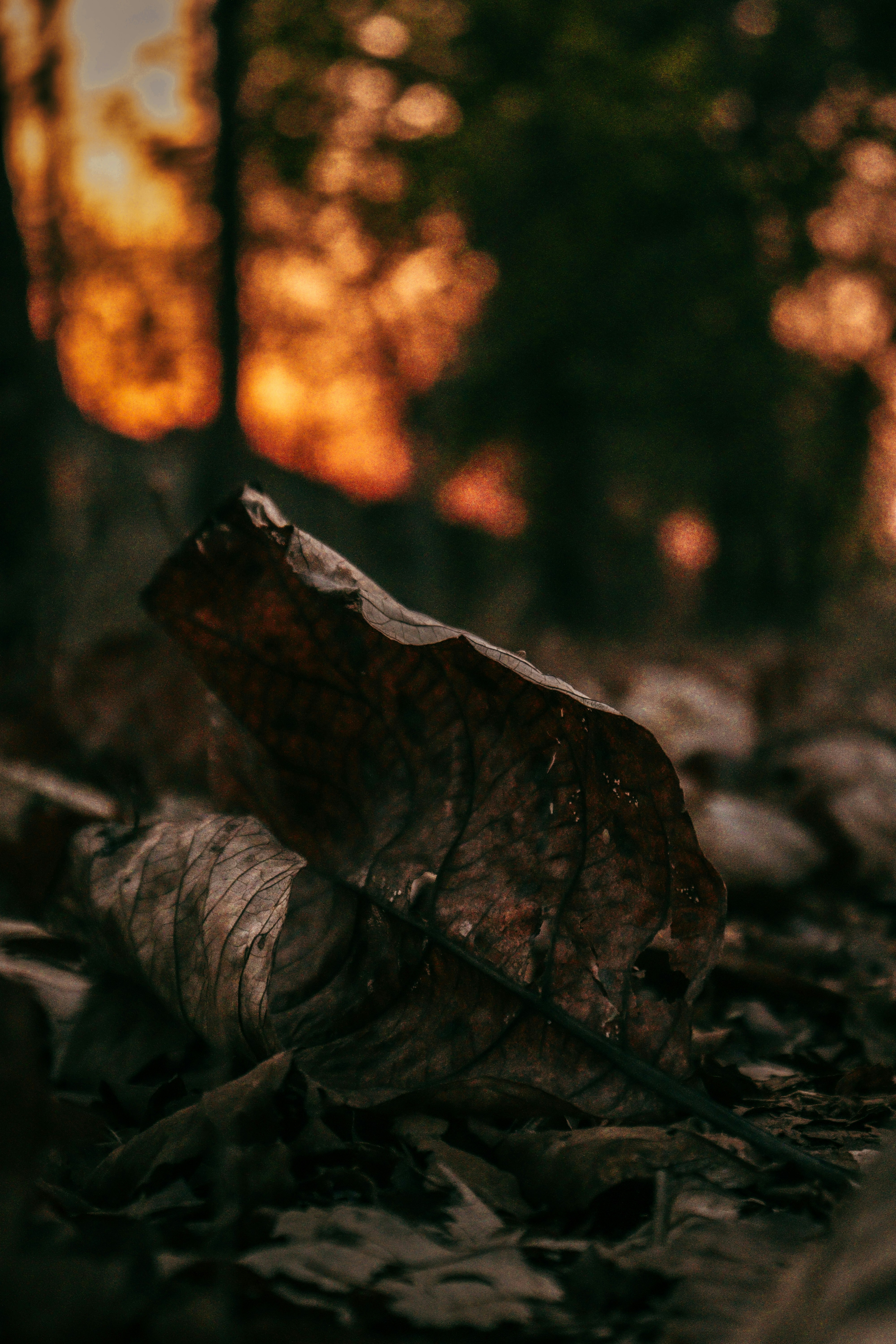 Photo by harshit_suryawanshi