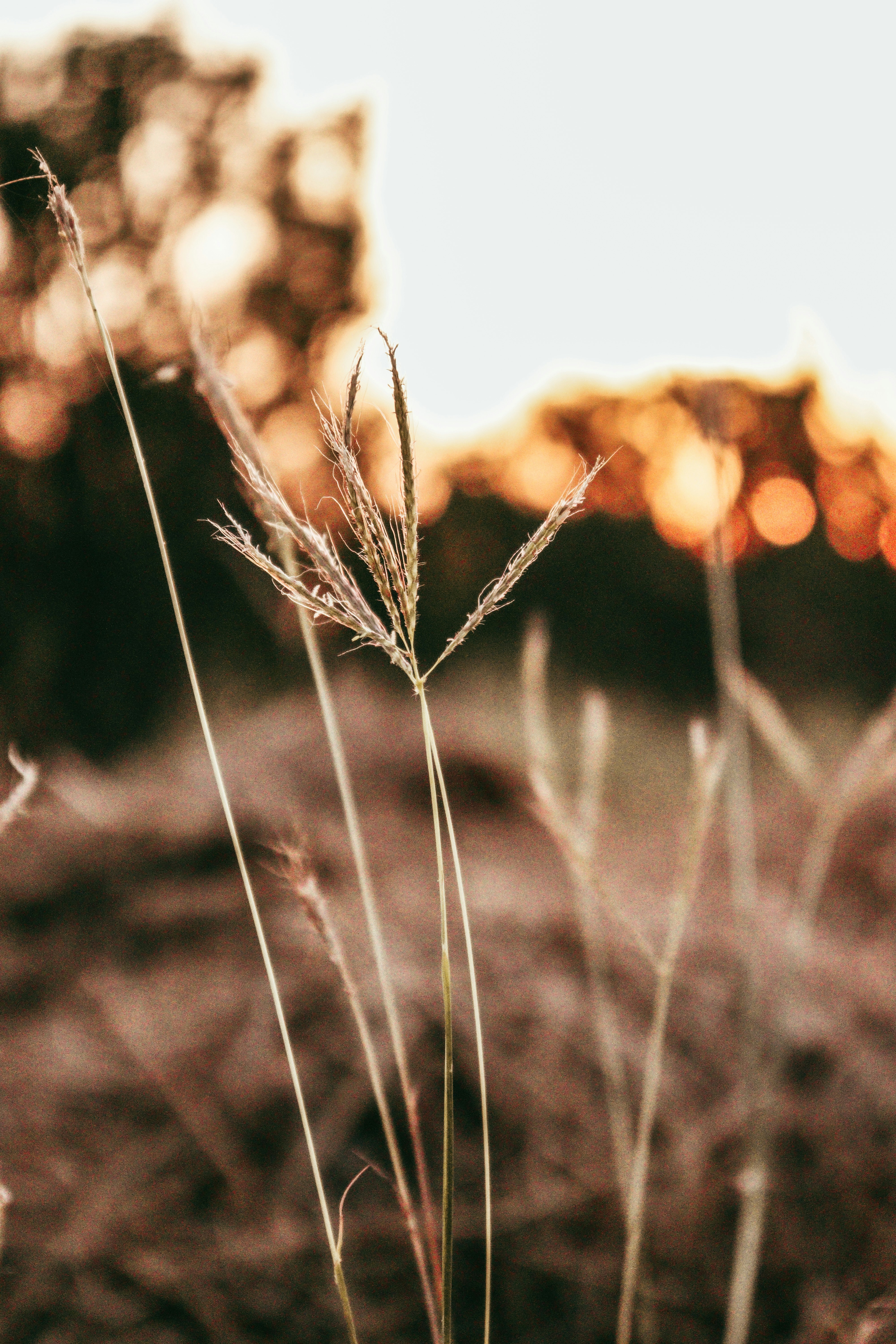 Photo by harshit_suryawanshi