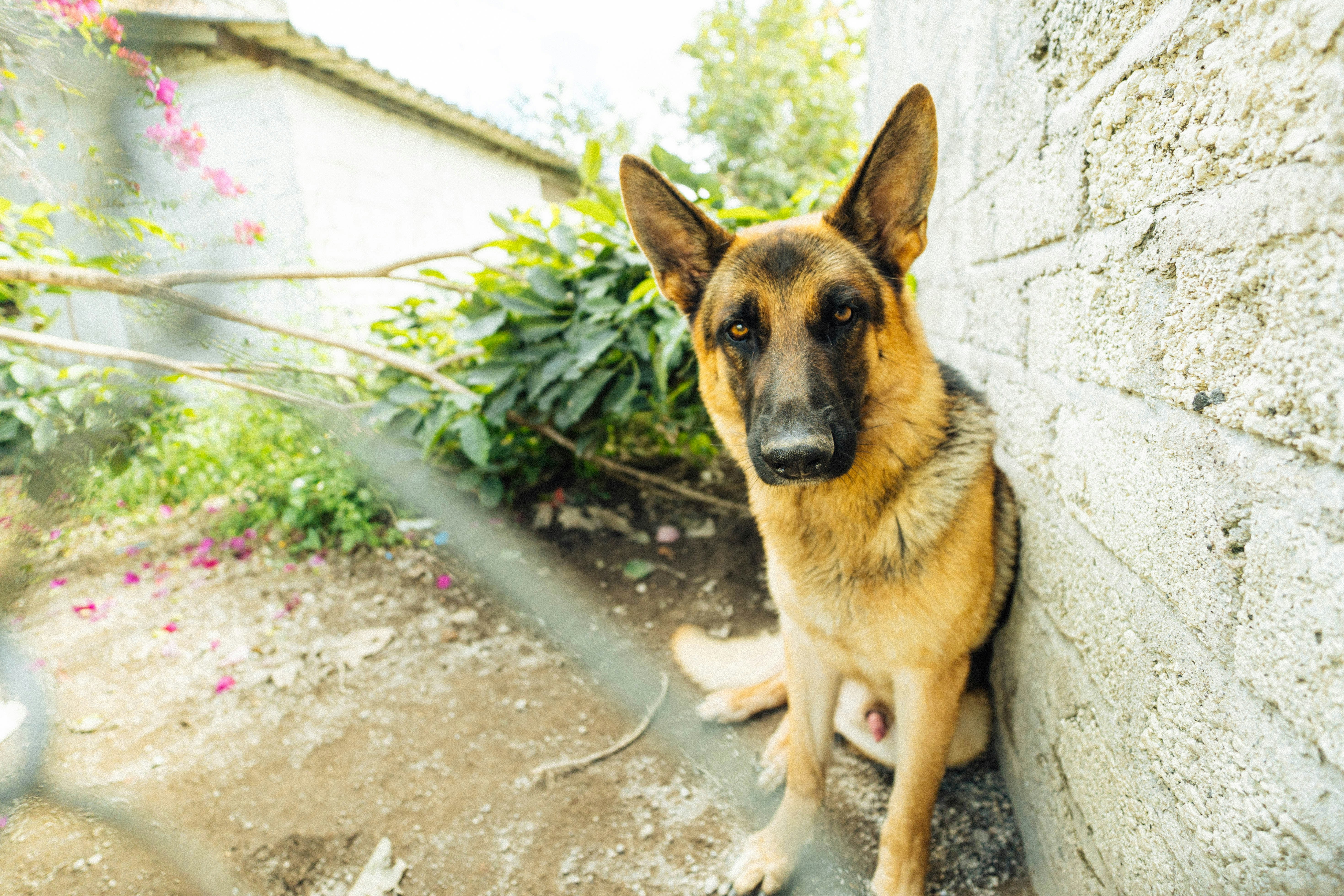 Photo by jonathecreator