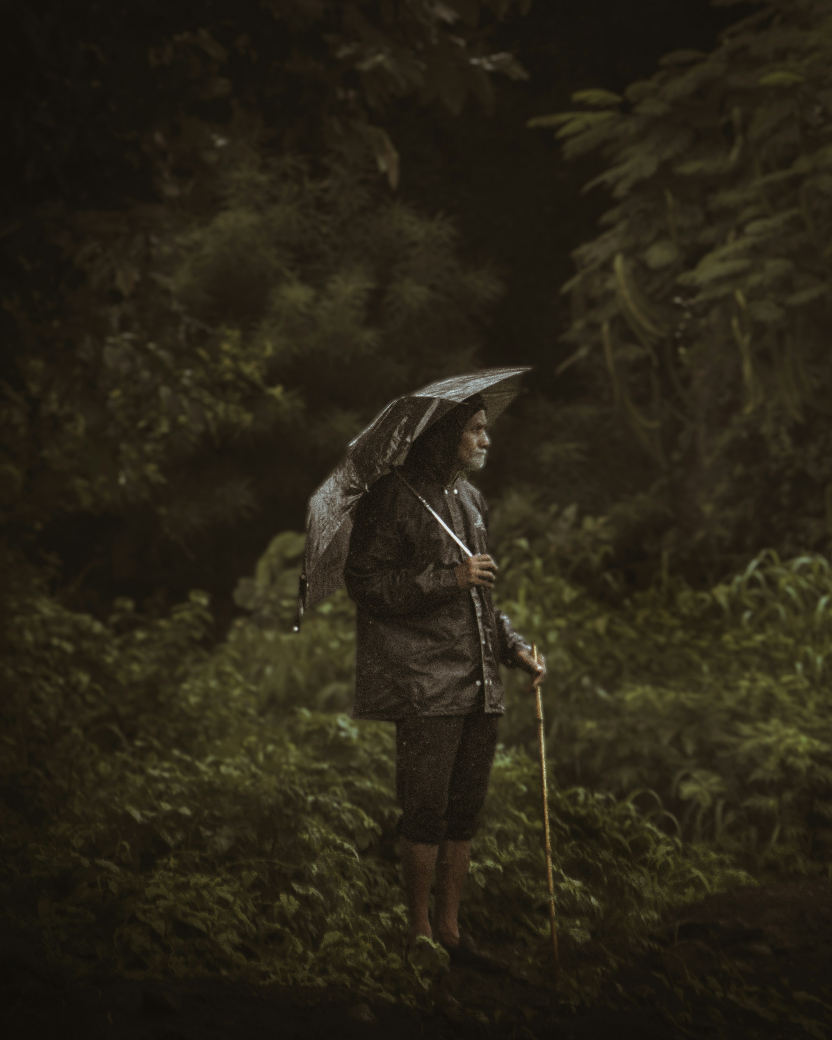 Photo by shresag