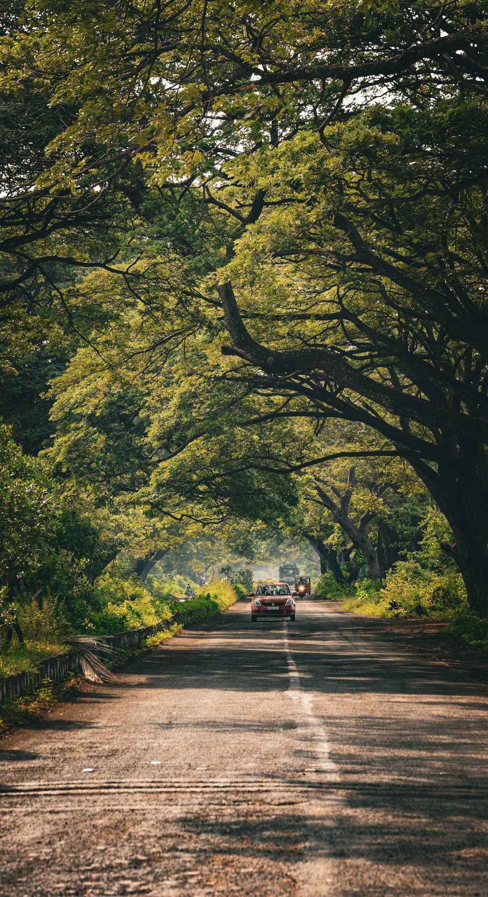 a car driving down a tree lined road
