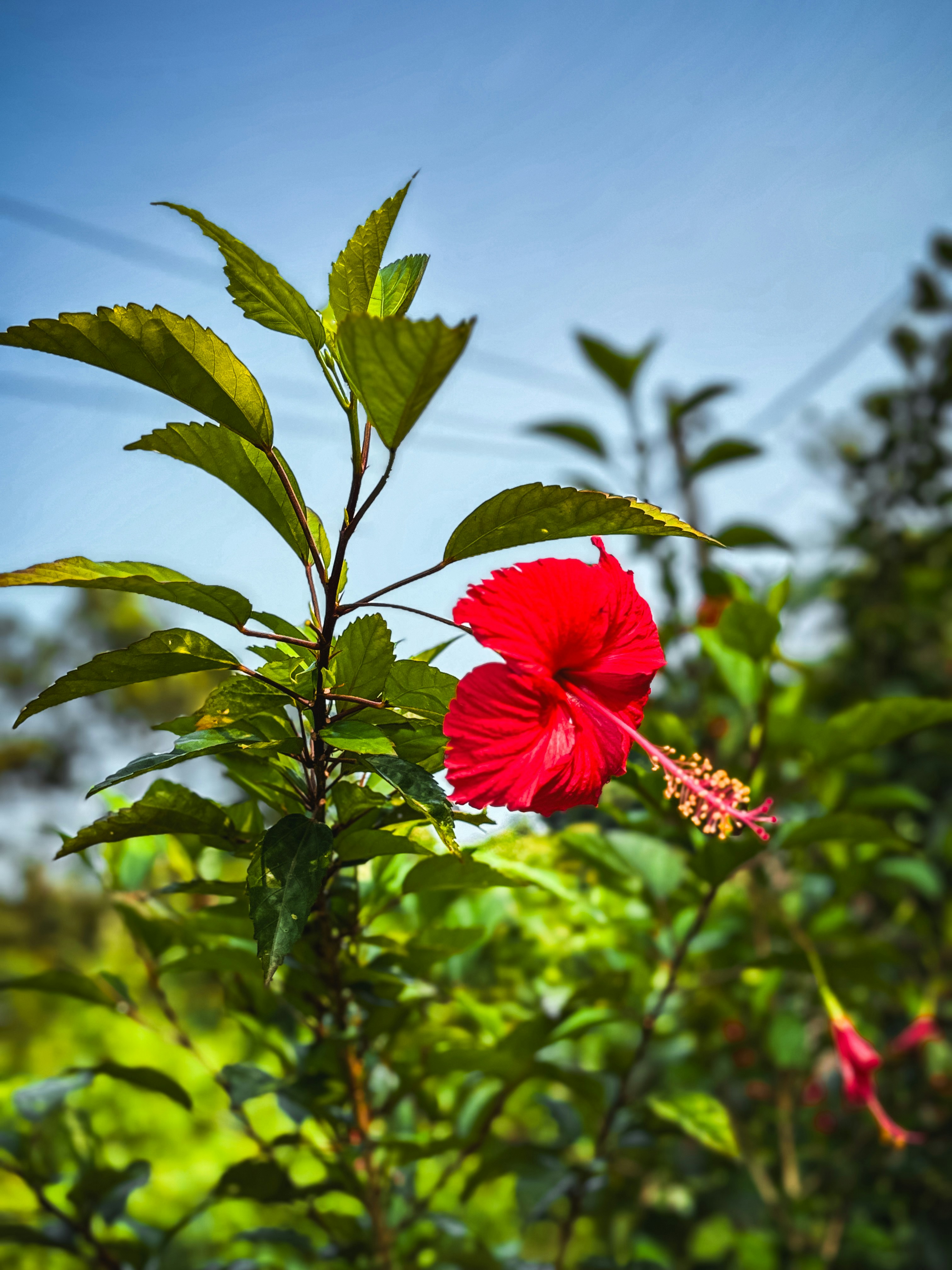 Mahi Wave (@mahiwave) | Comunidad de fotos de Unsplash, image size:3000x4000