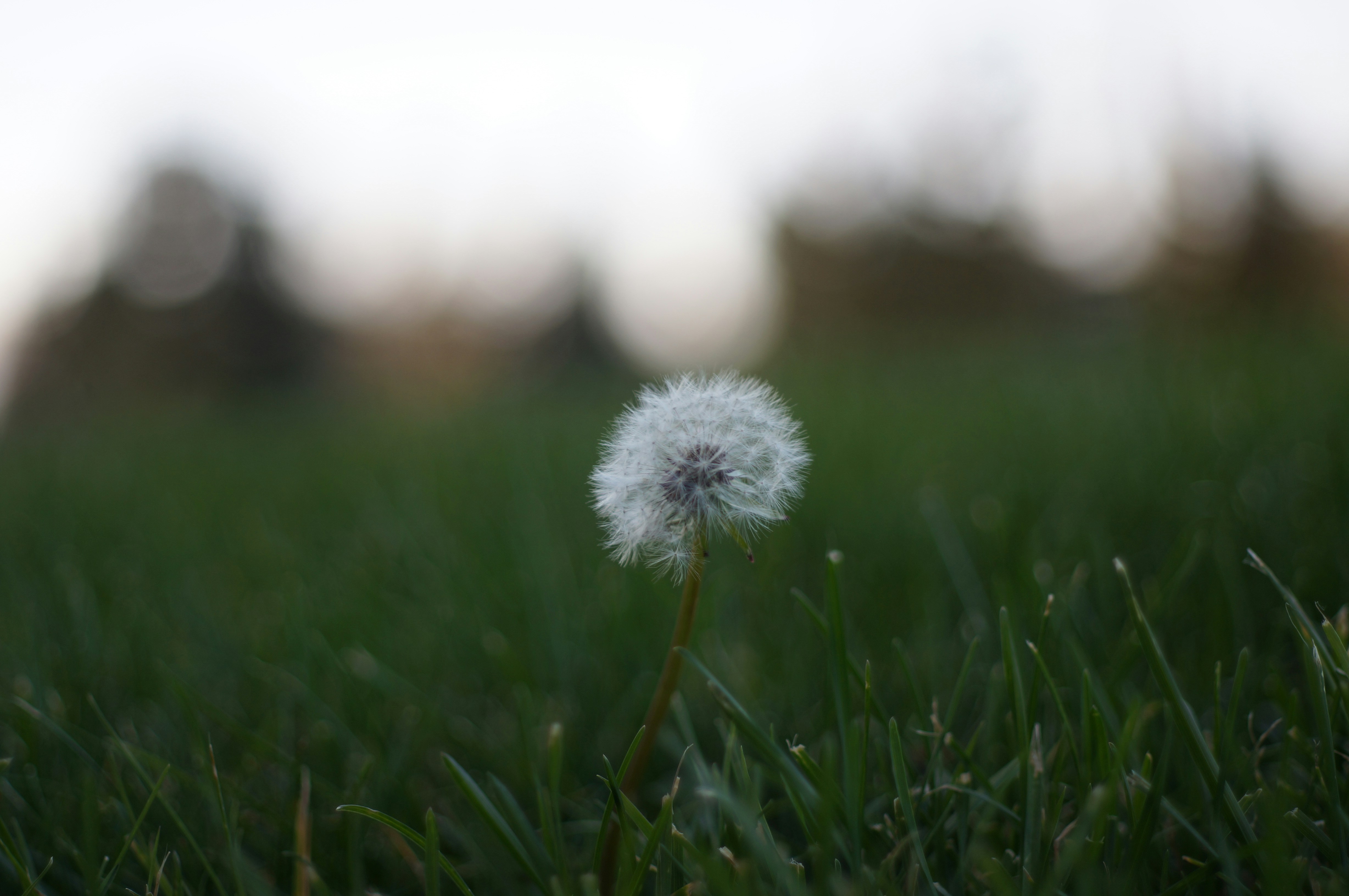 Photo by 8jigarpatel