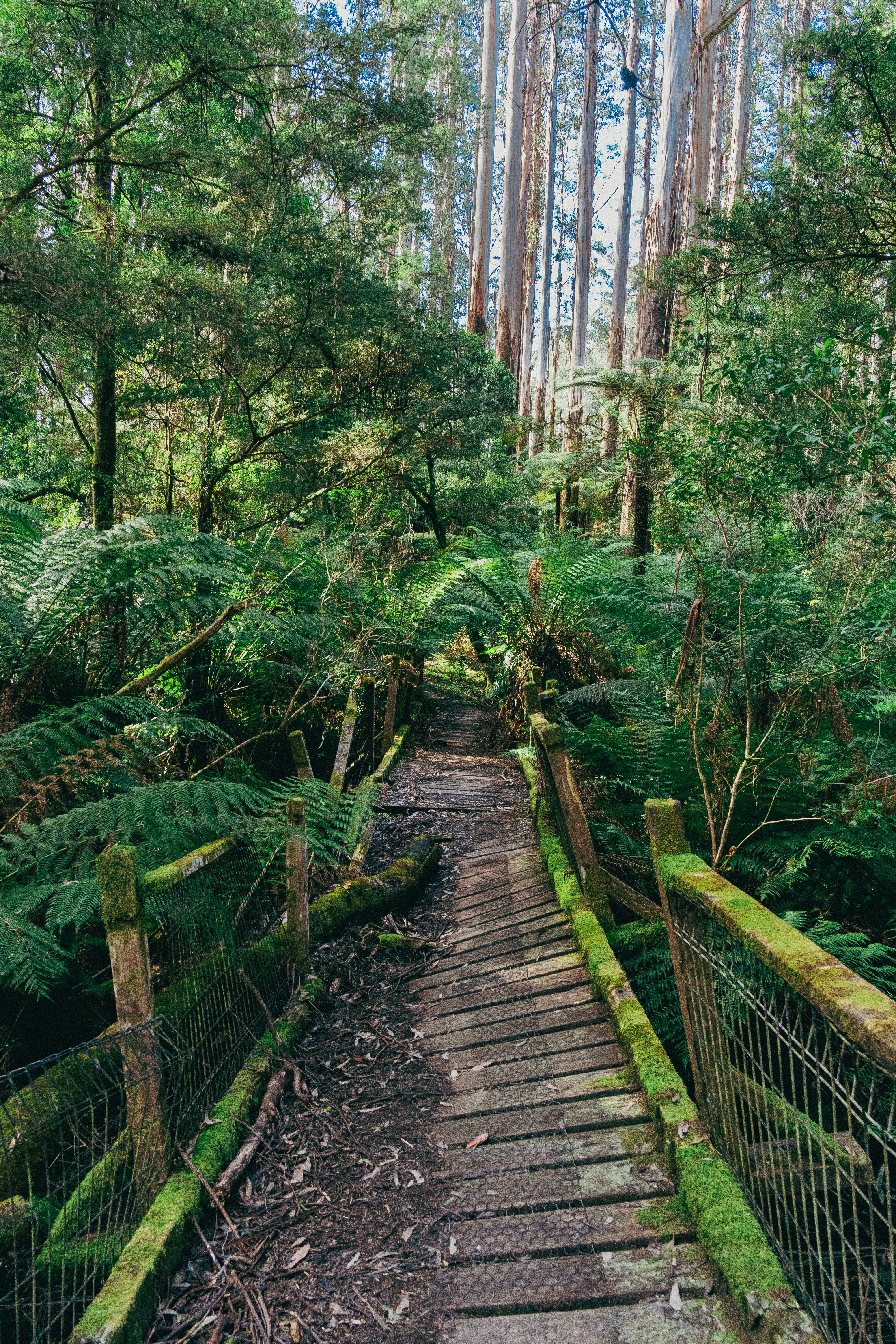 Photo by that_dan_guy